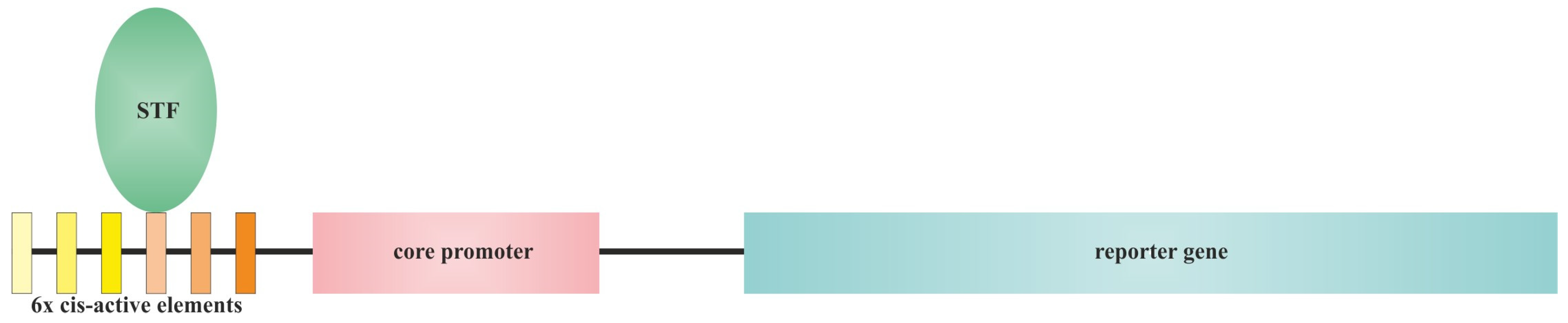 Applsci 14 04877 g003