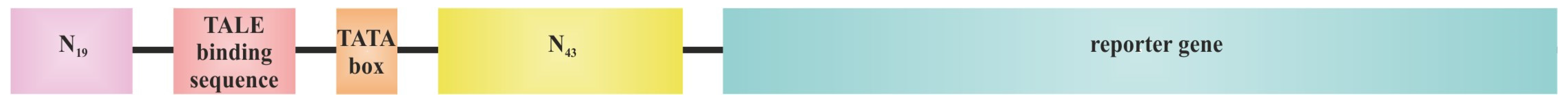 Applsci 14 04877 g005