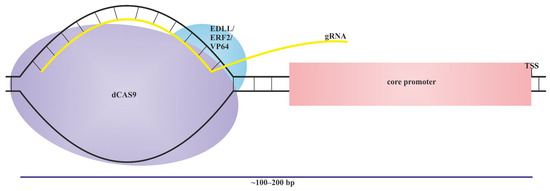 Plant Synthetic Promoters