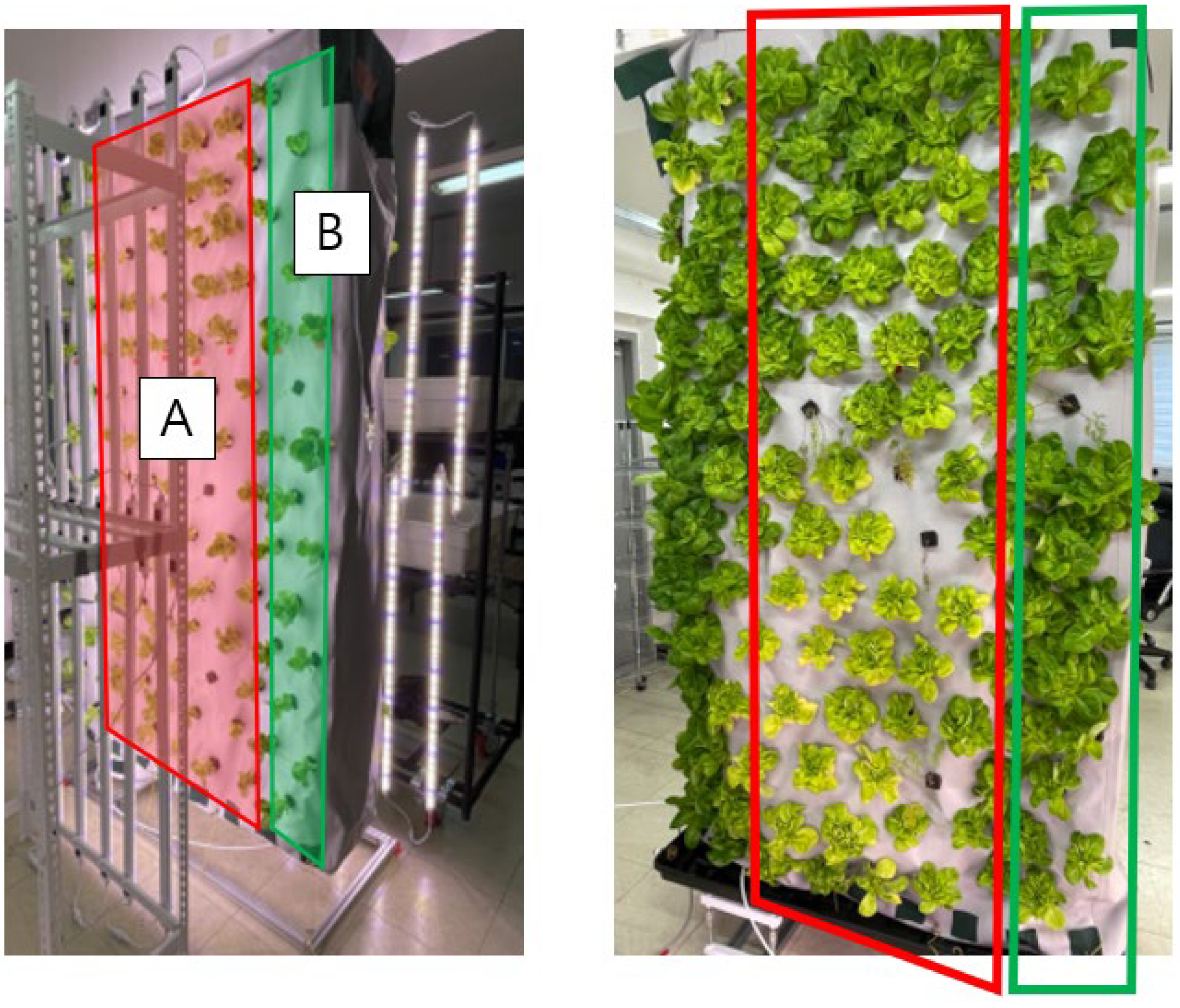 Applsci 14 04931 g008