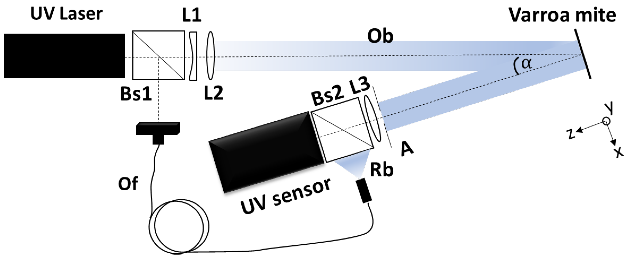 Applsci 14 04938 g001 Applsci 14 04938 g001