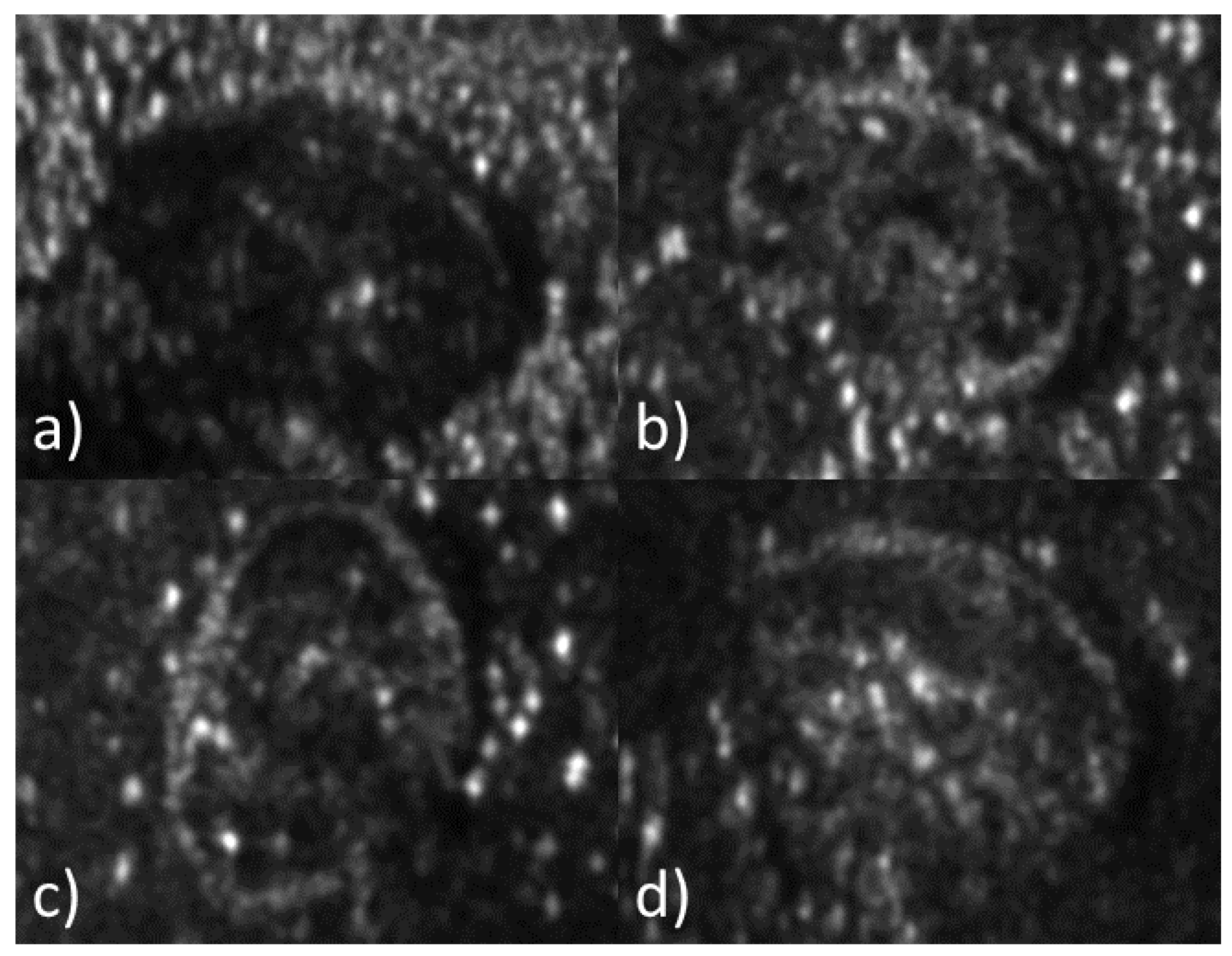 Applsci 14 04938 g003 Applsci 14 04938 g003