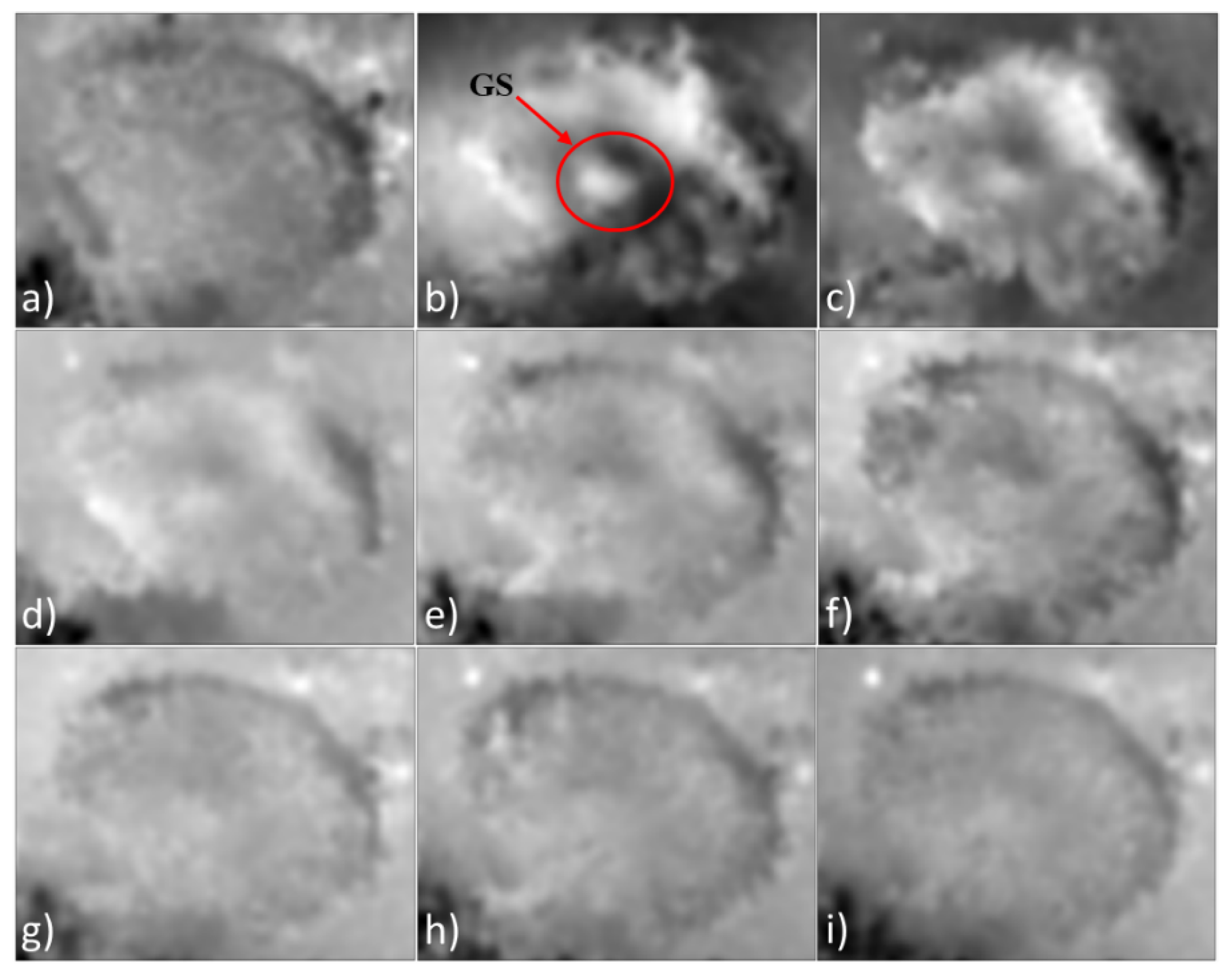 Applsci 14 04938 g004 Applsci 14 04938 g004