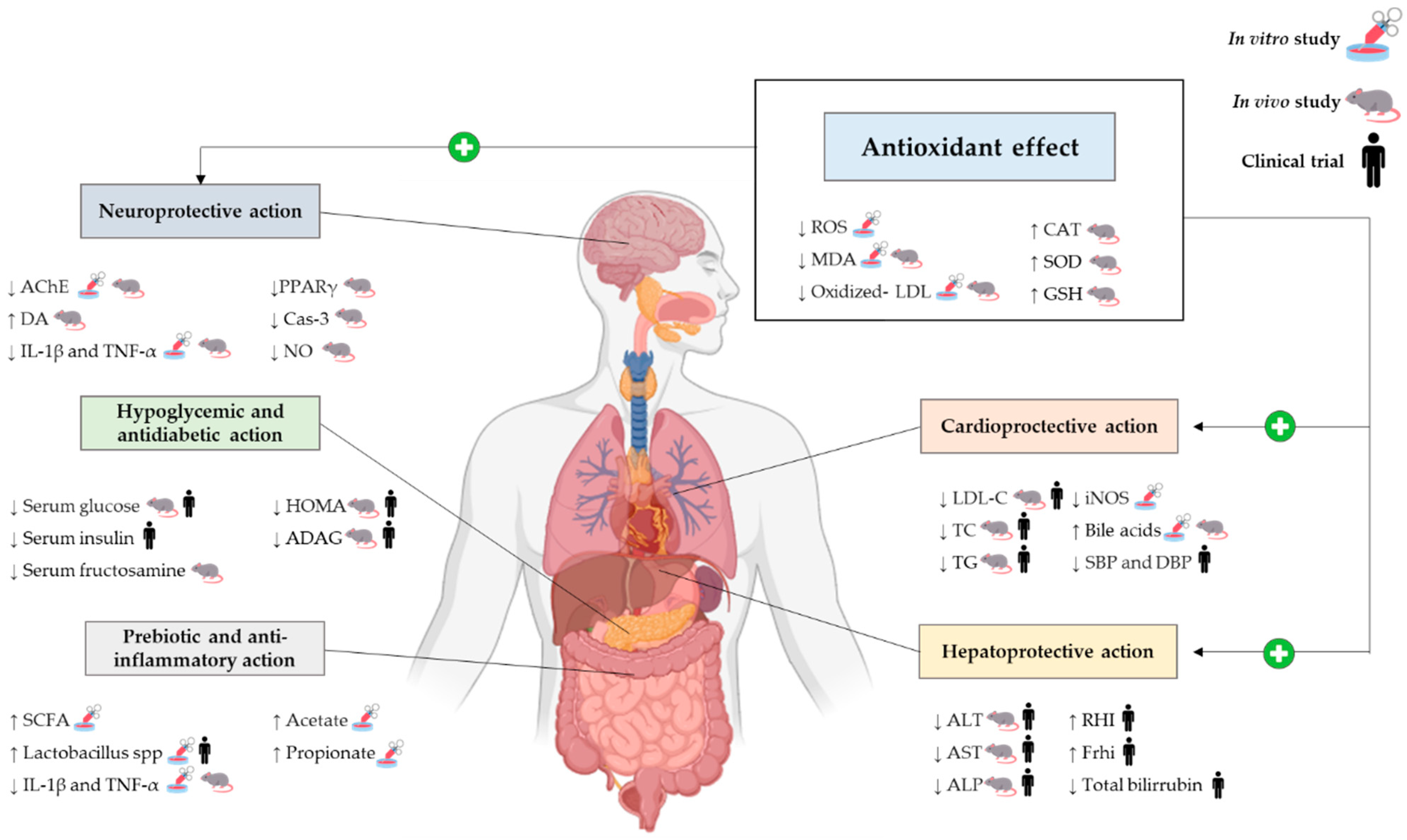 Applsci 14 04940 g002