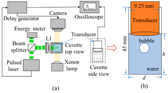 Vibrational Rarefaction Waves Excited by Laser-Induced