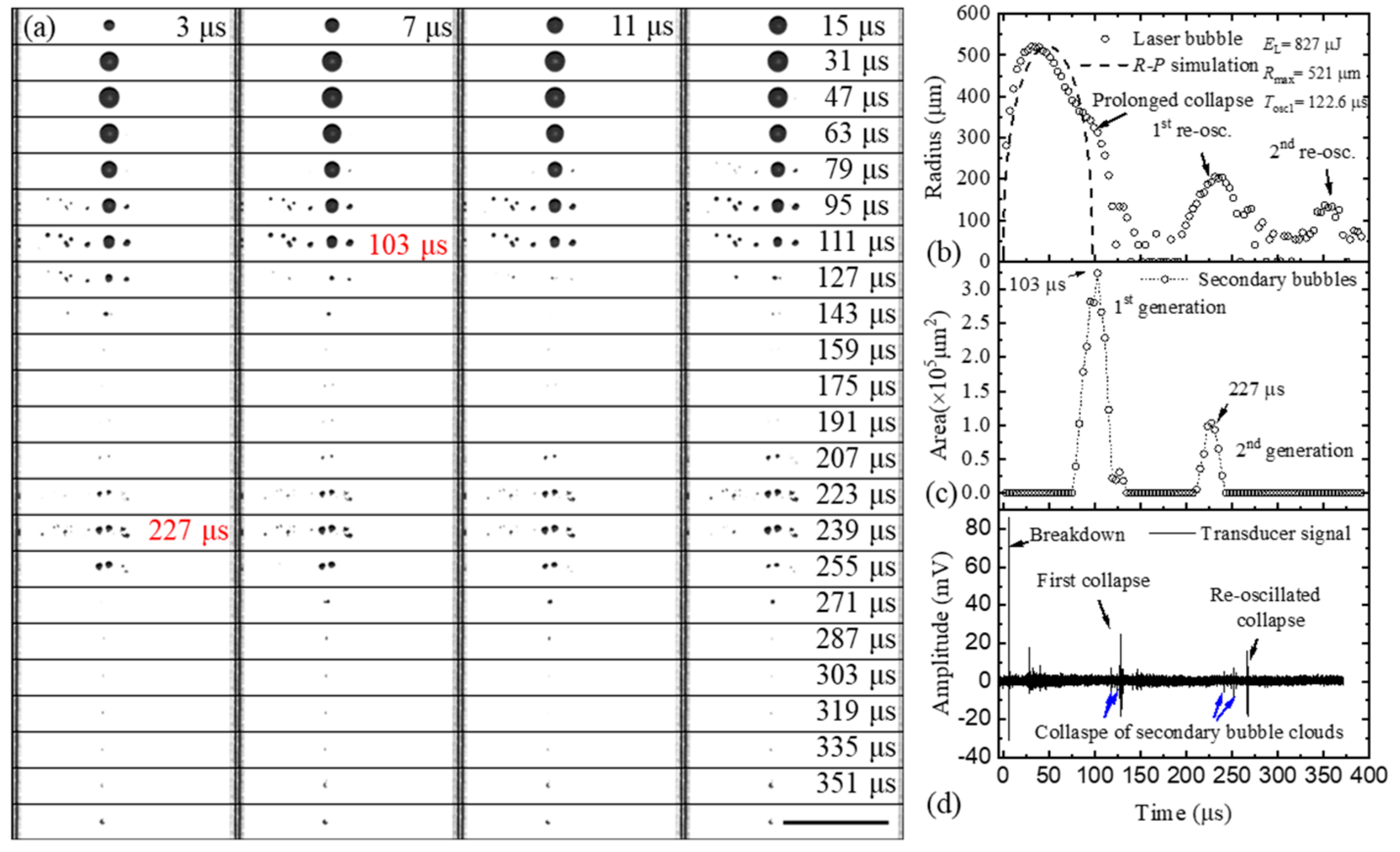 Applsci 14 04954 g002