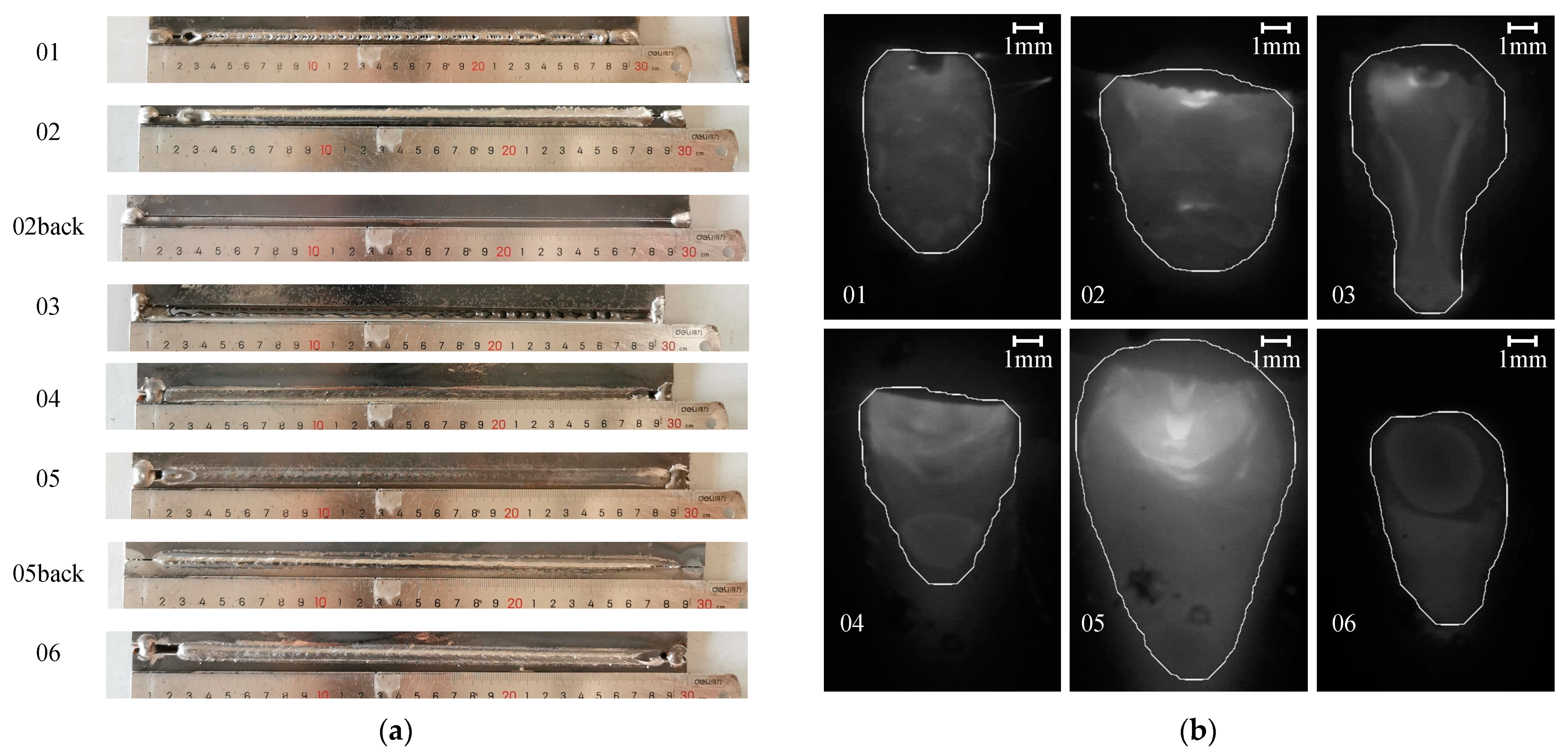 Applsci 14 04978 g005