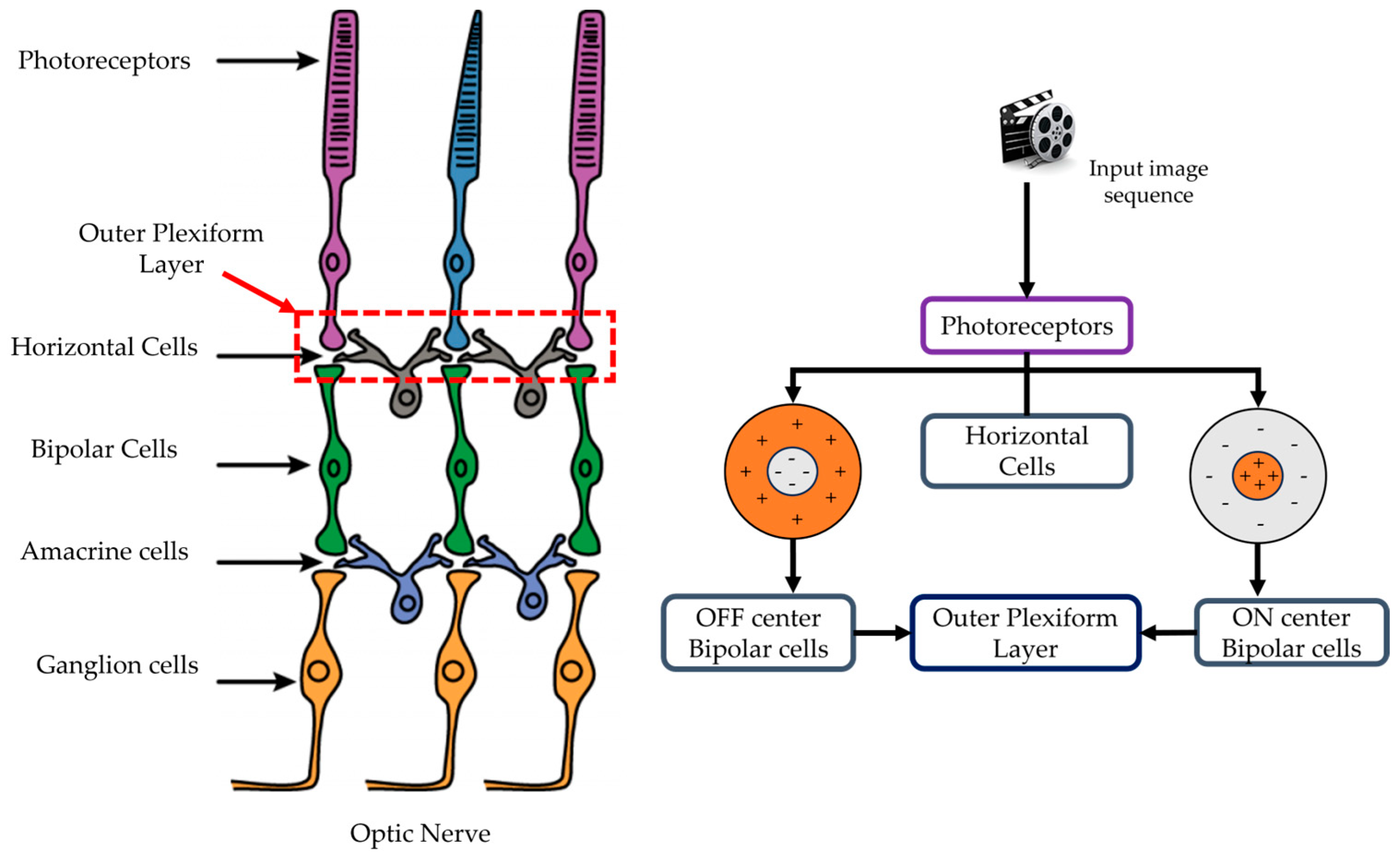 Applsci 14 05011 g002