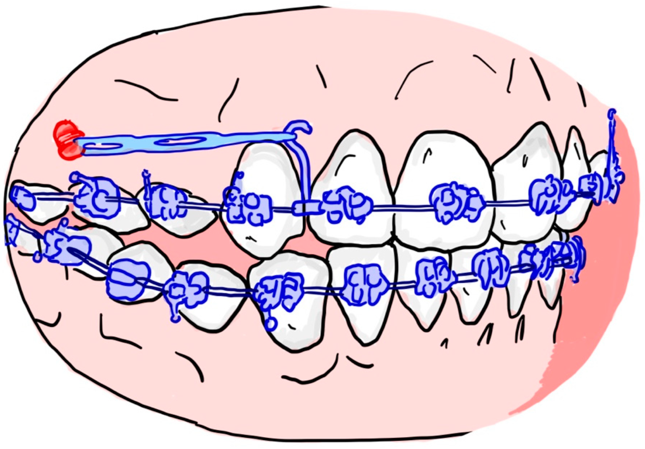 Applsci 14 05028 g001
