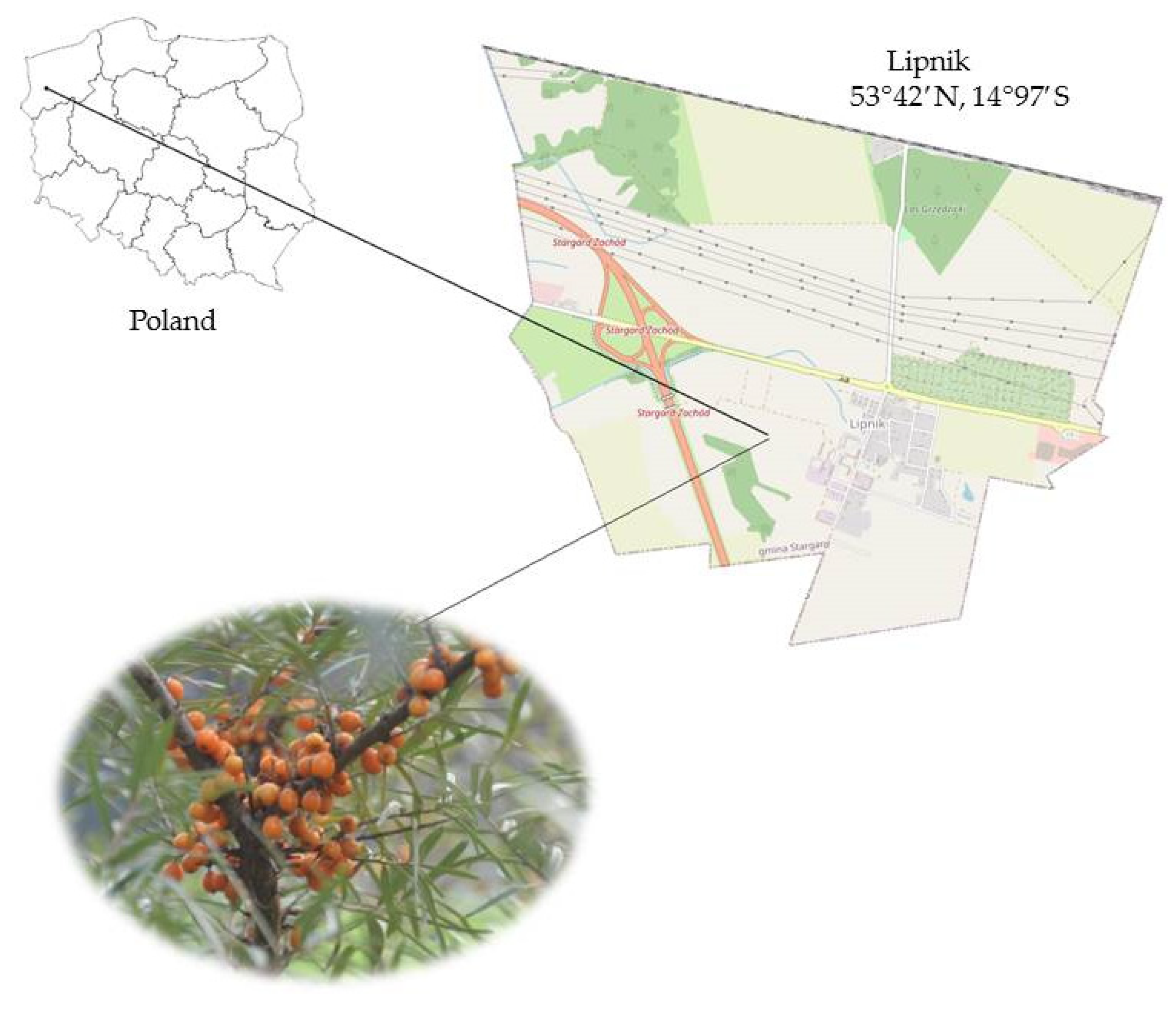 Applsci 14 05038 g001 Applsci 14 05038 g001