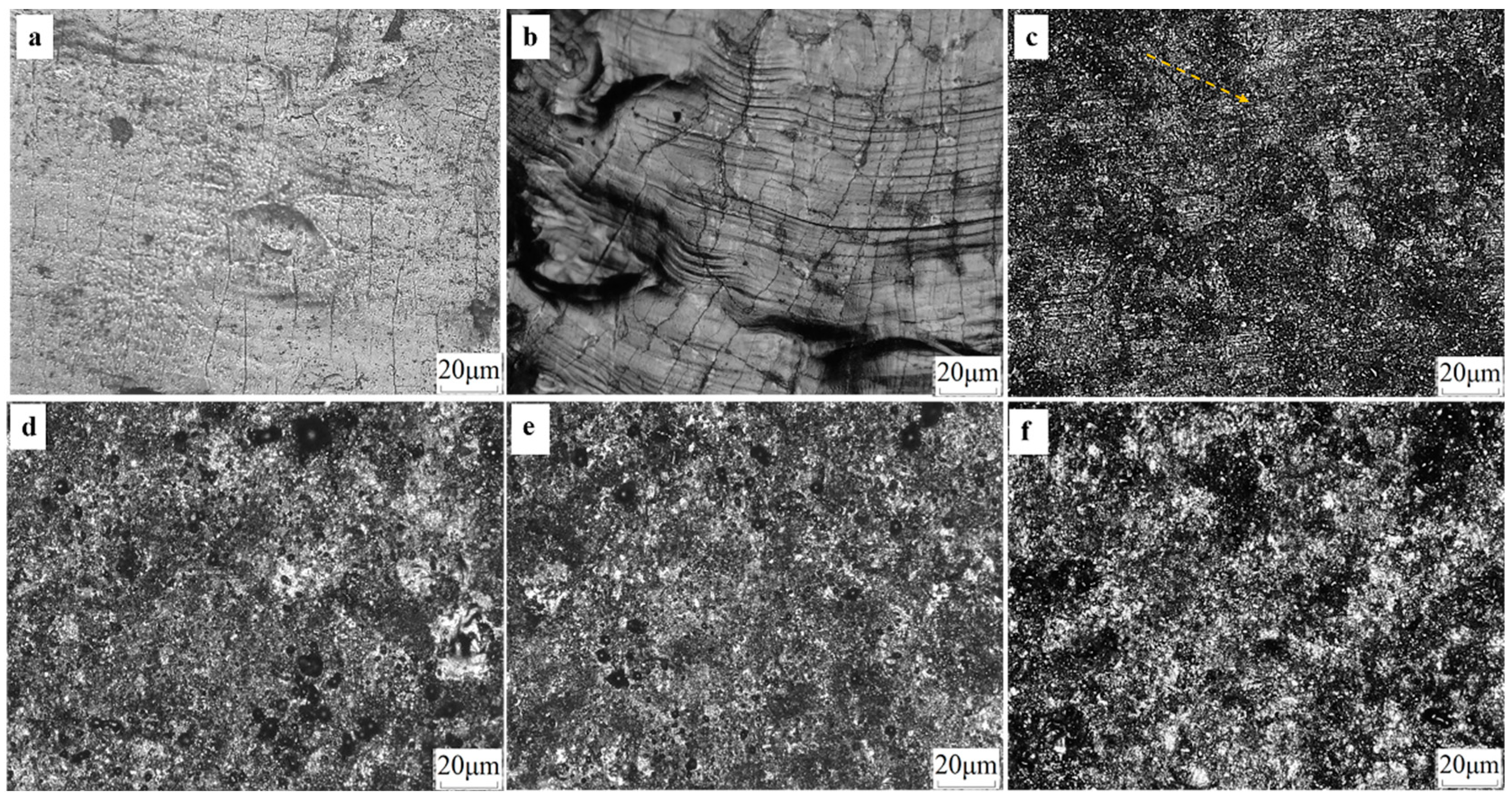 Applsci 14 05052 g008