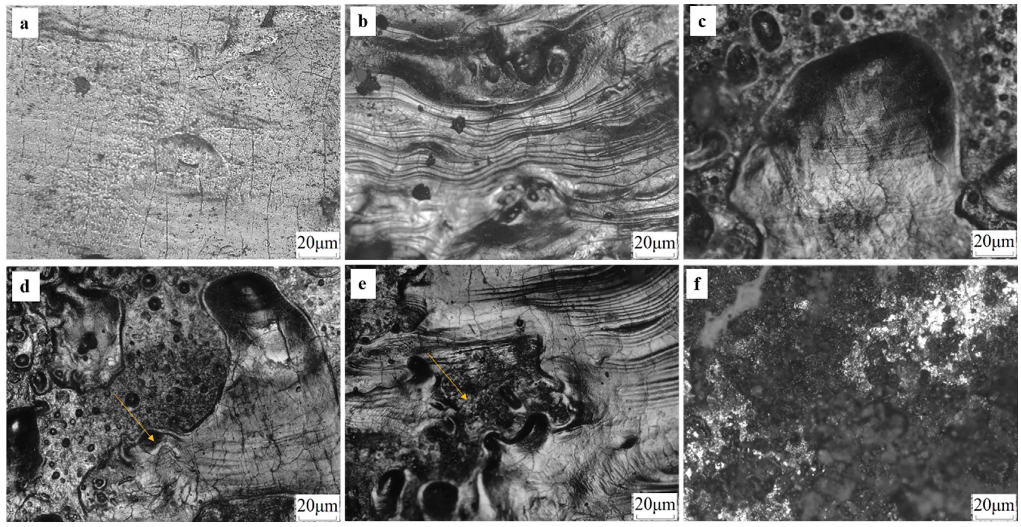 Applsci 14 05052 g014