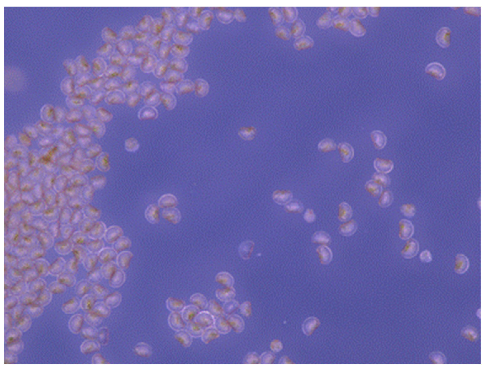 Applsci 14 05113 g001