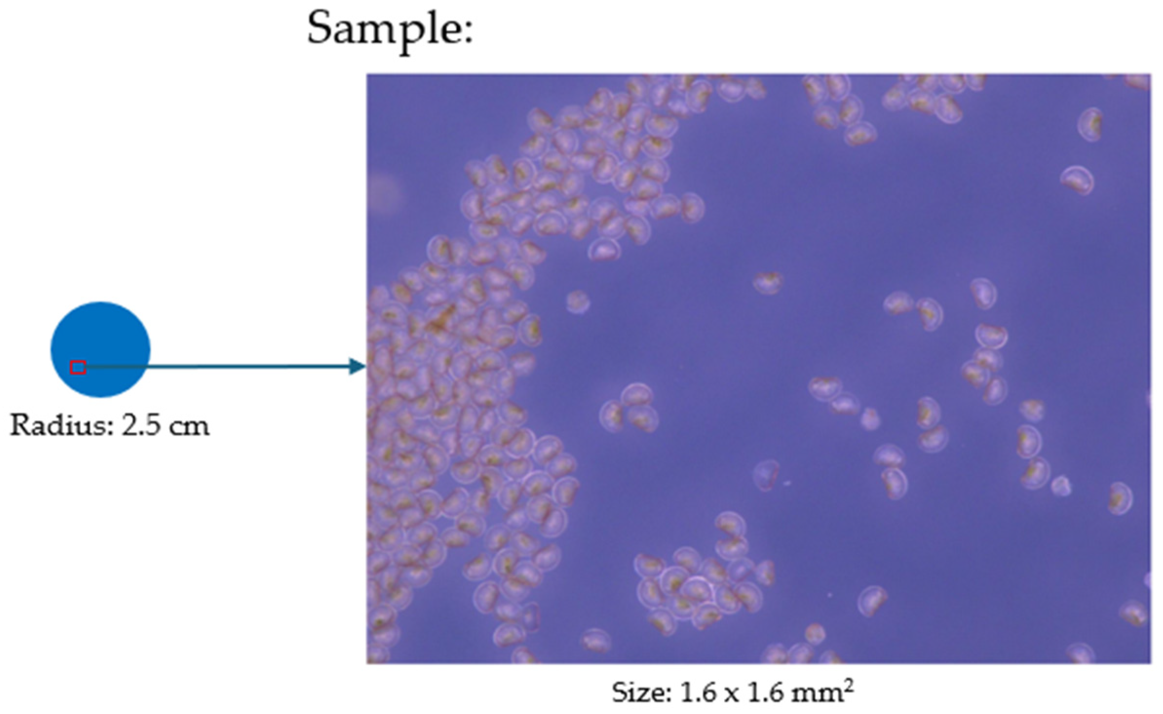 Applsci 14 05113 g002