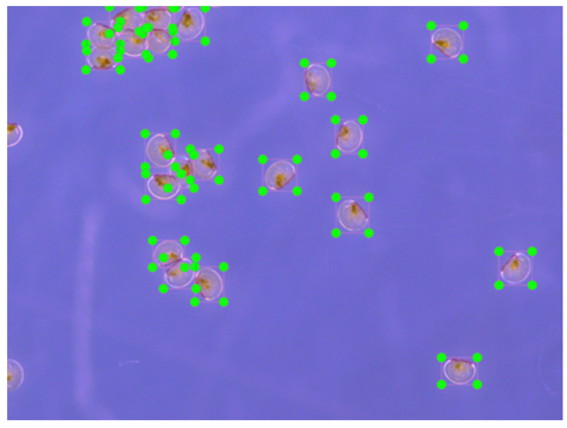 Applsci 14 05113 g005