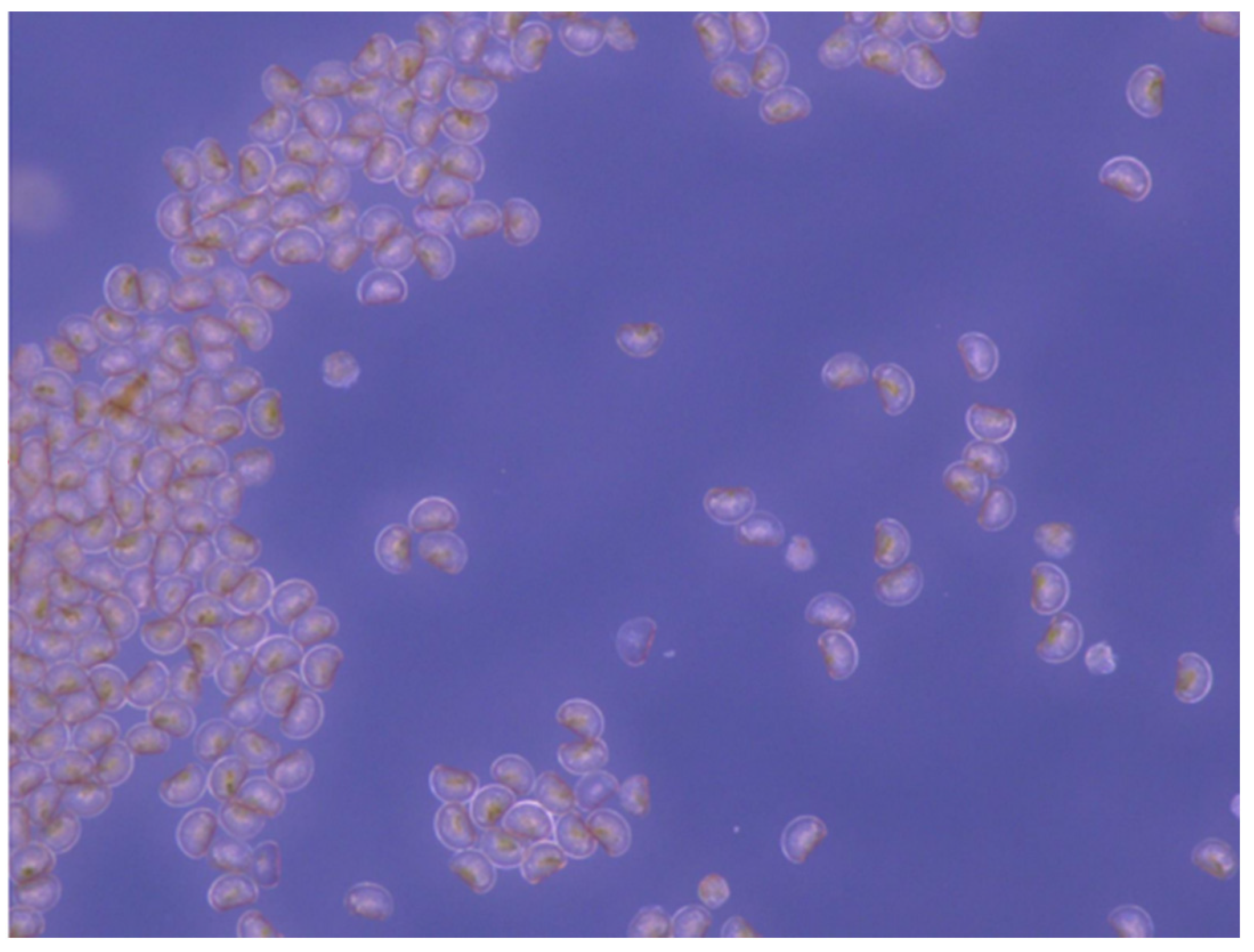 Applsci 14 05113 g006