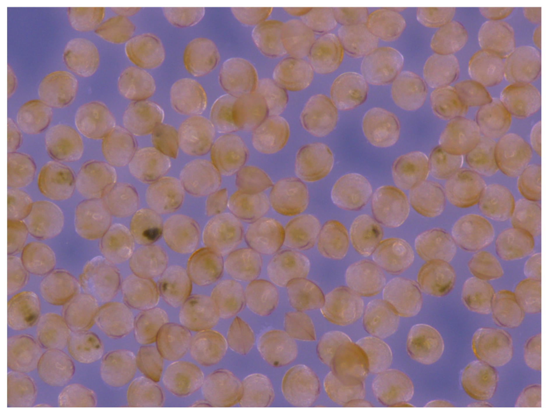 Applsci 14 05113 g007