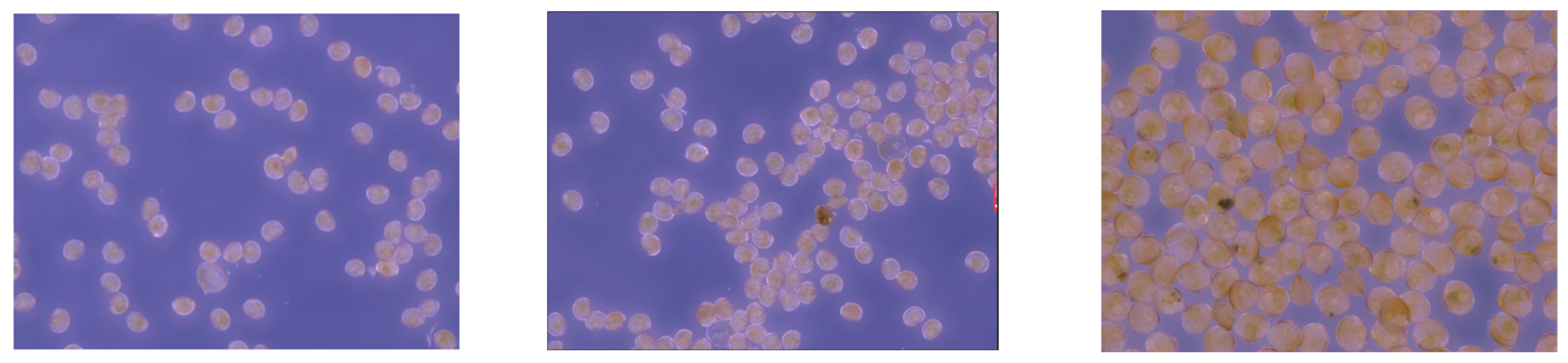 Applsci 14 05113 g009