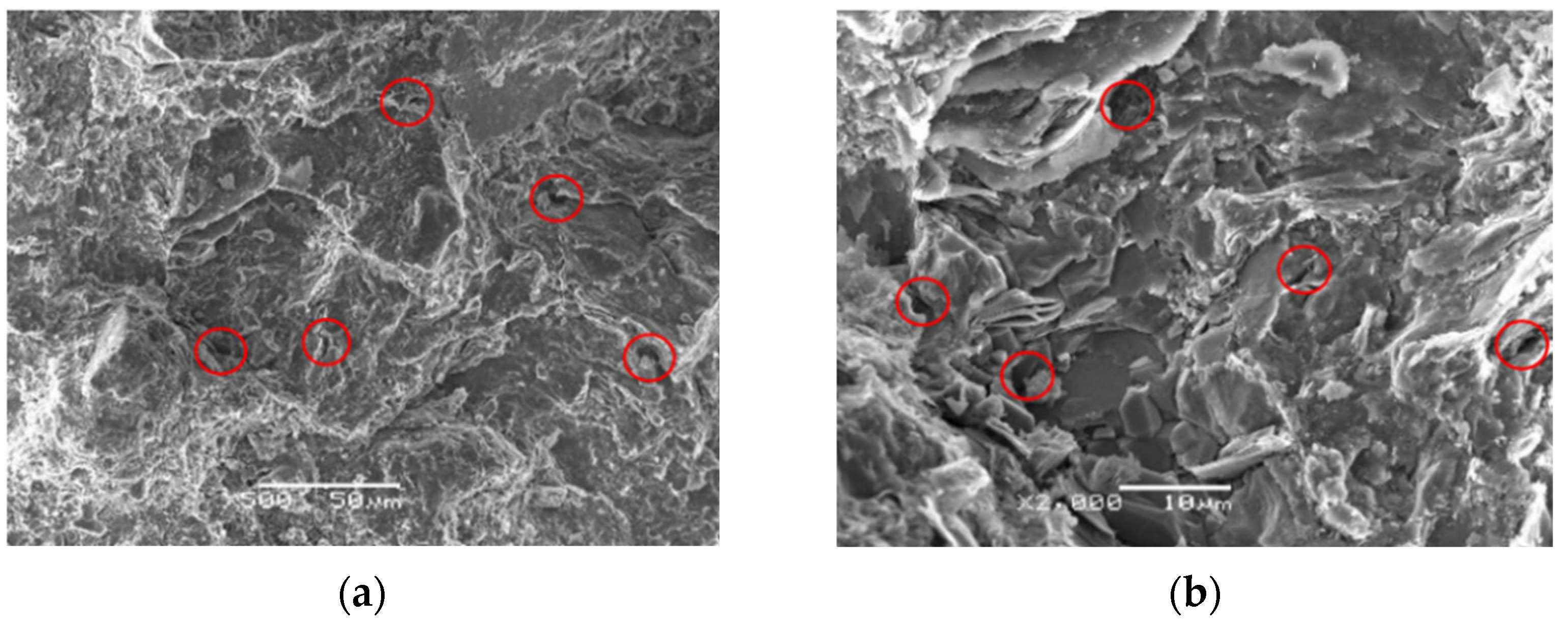 Applsci 14 05122 g007