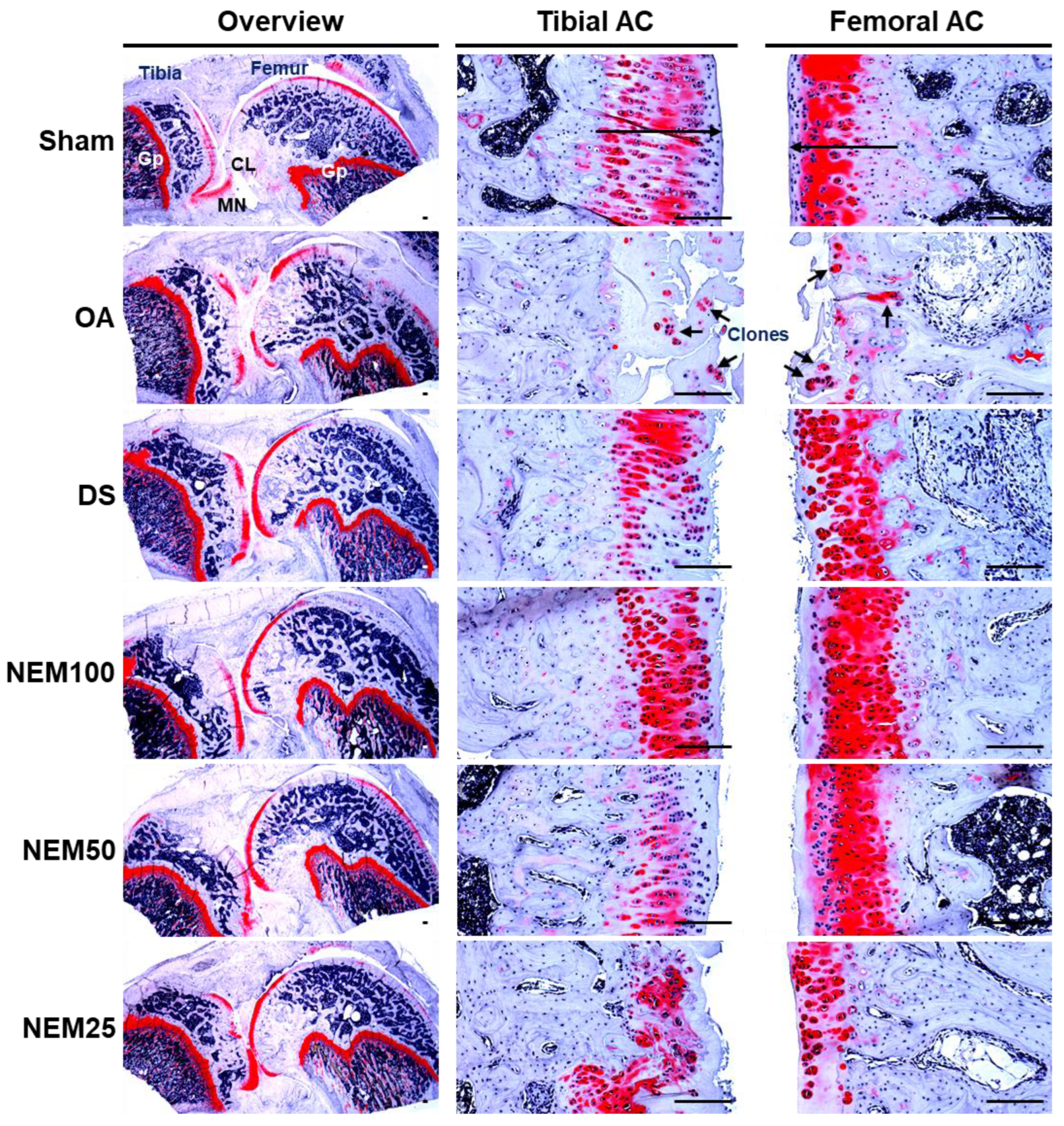 Applsci 14 05176 g008
