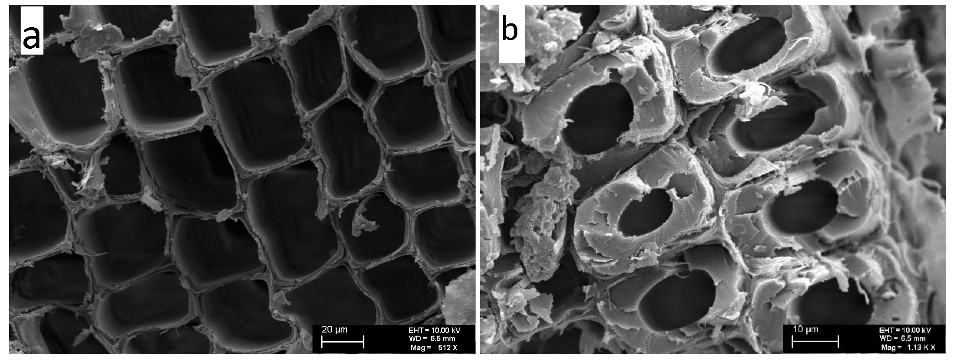 Applsci 14 05179 g004 Applsci 14 05179 g004