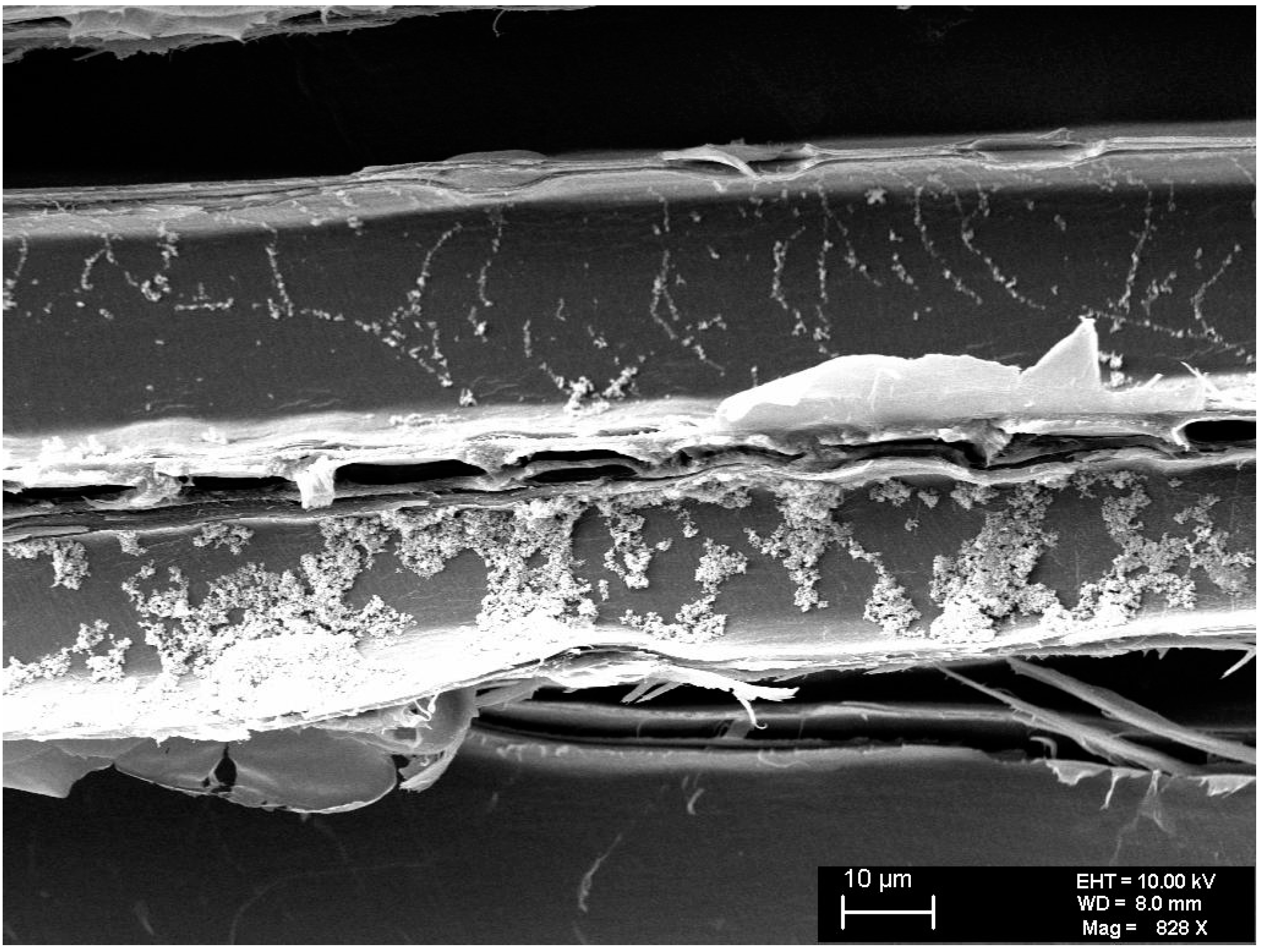 Applsci 14 05179 g006 Applsci 14 05179 g006