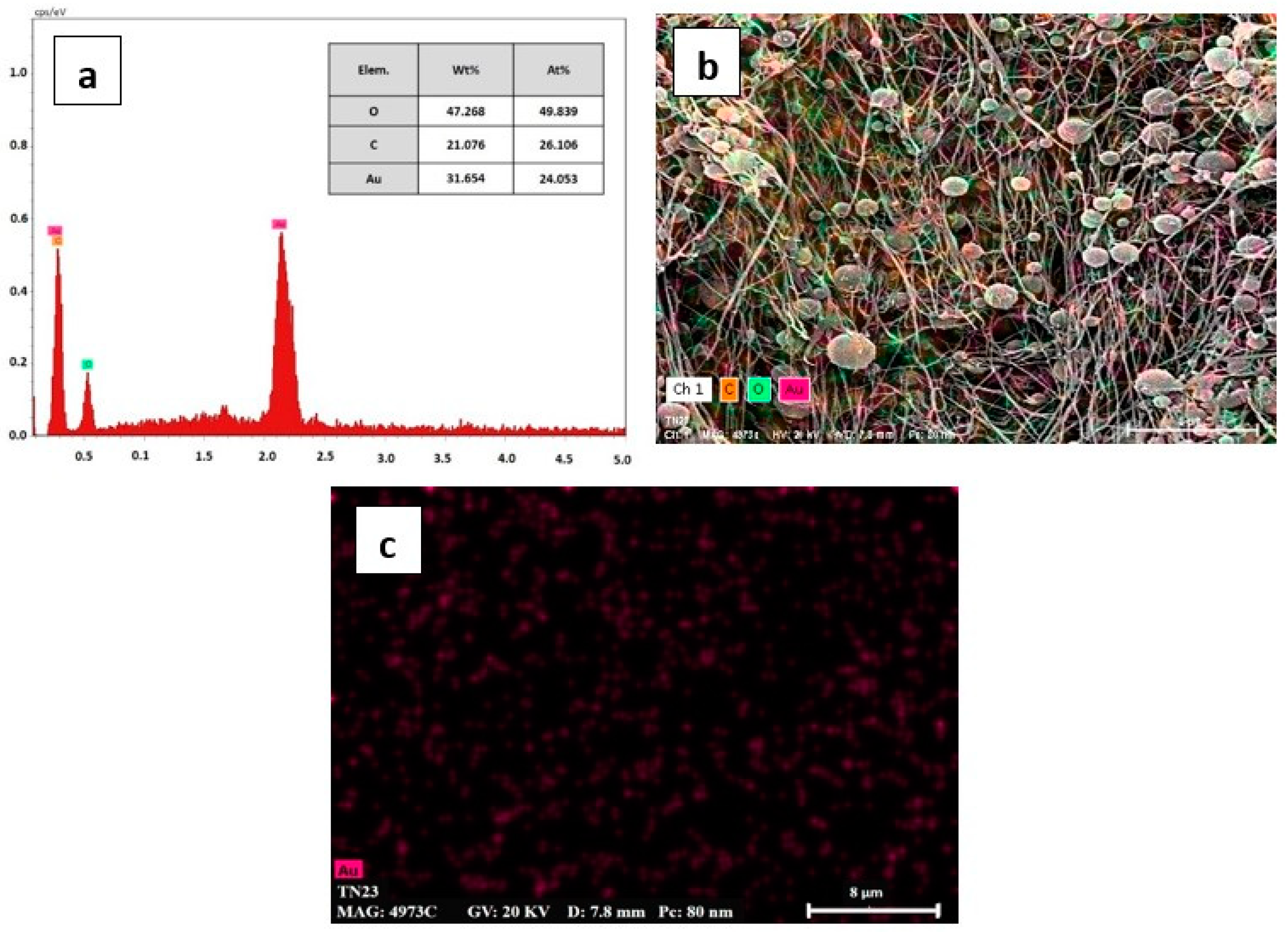 Applsci 14 05229 g005