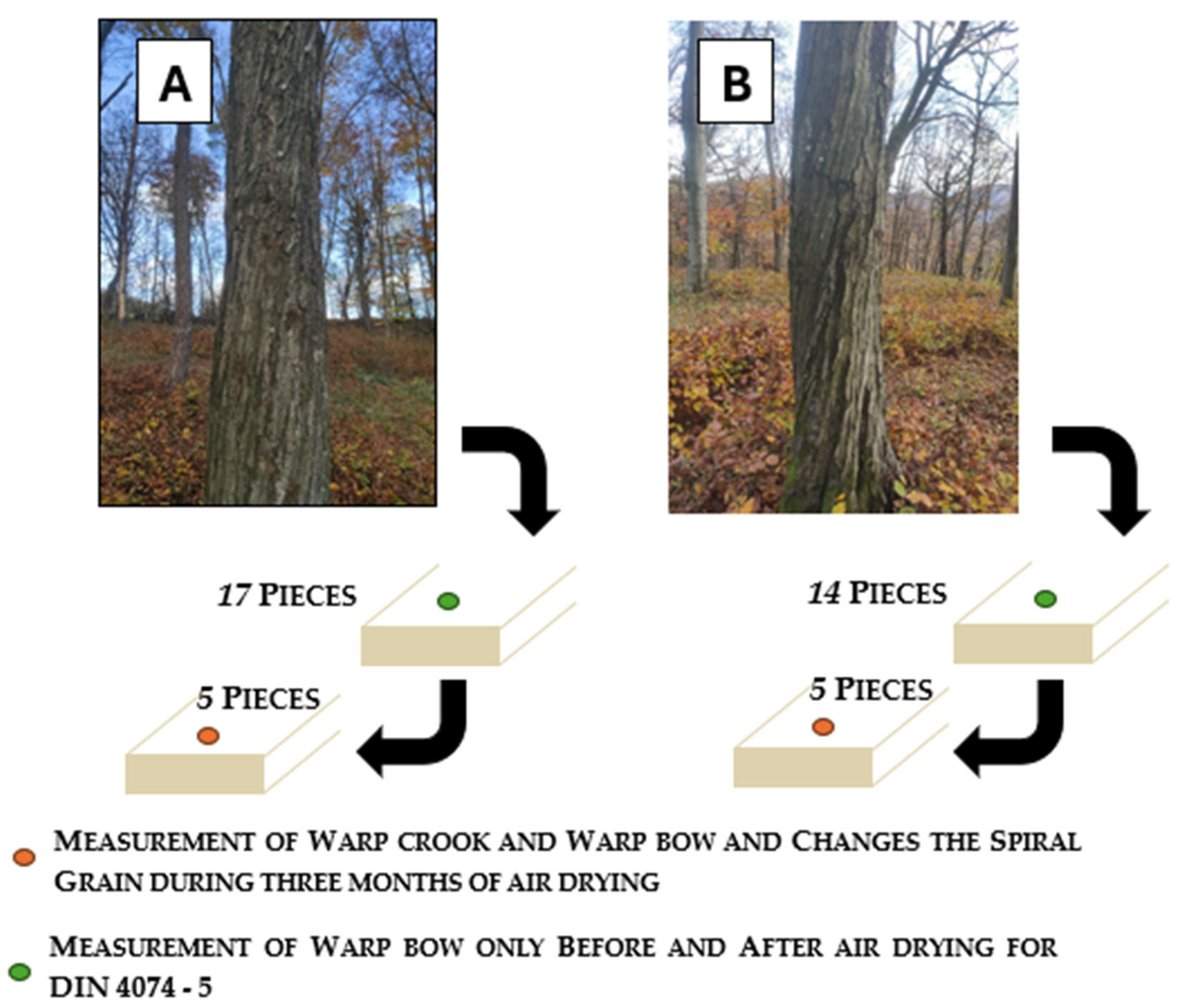 Applsci 14 05250 g002