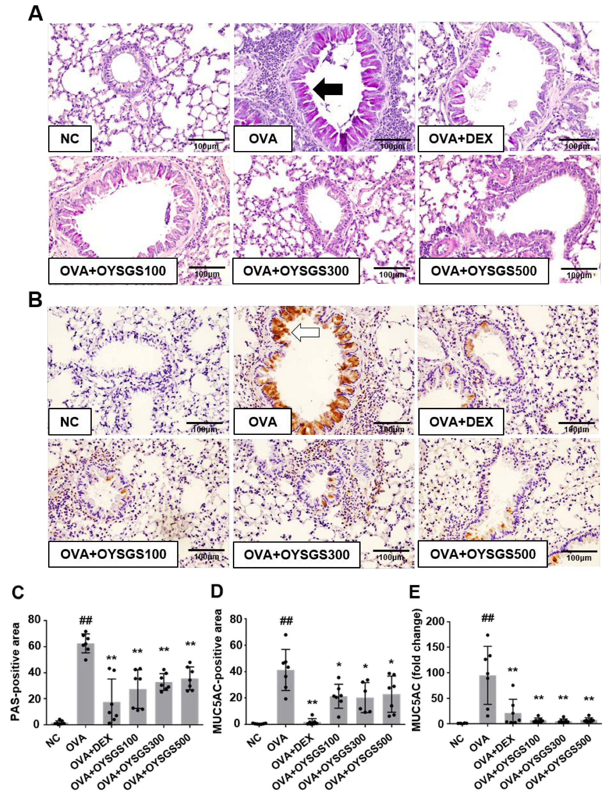 Applsci 14 05280 g005 Applsci 14 05280 g005