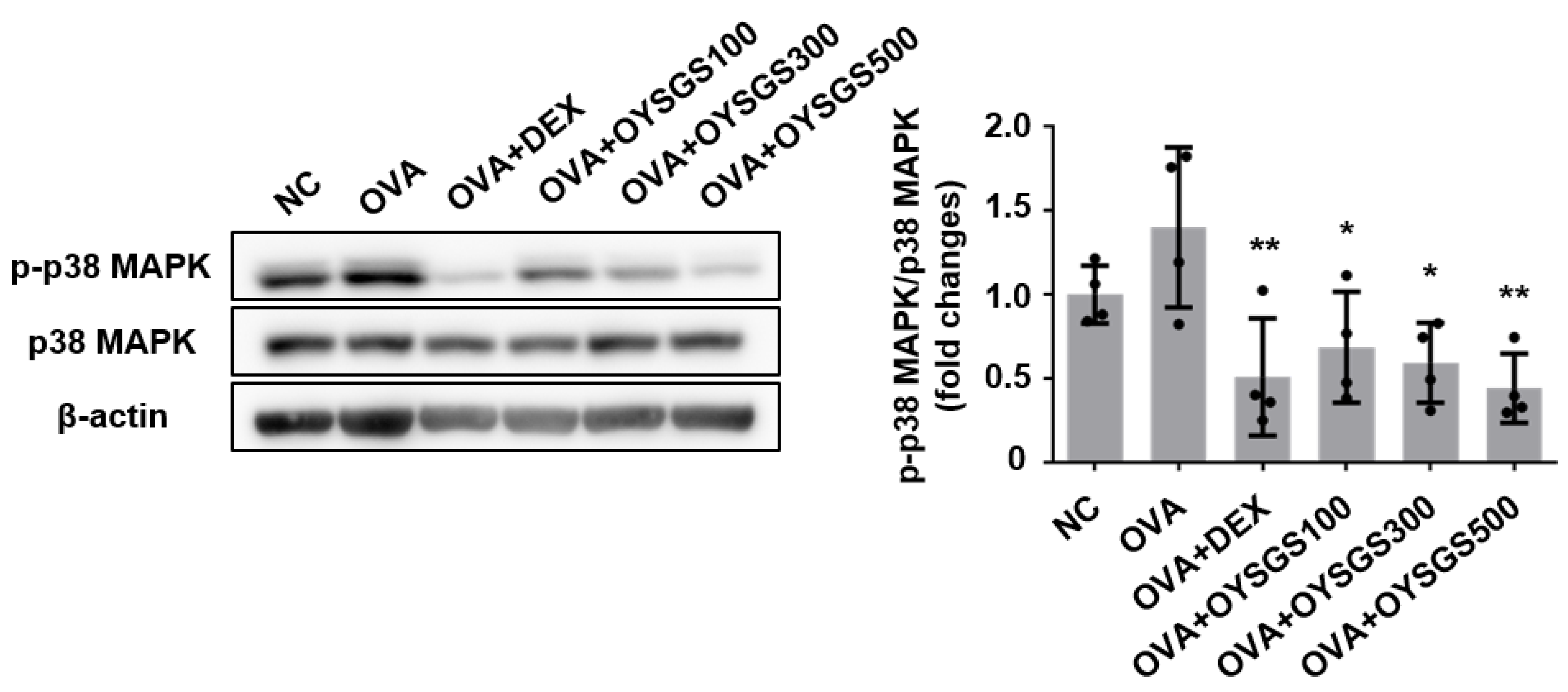Applsci 14 05280 g007 Applsci 14 05280 g007