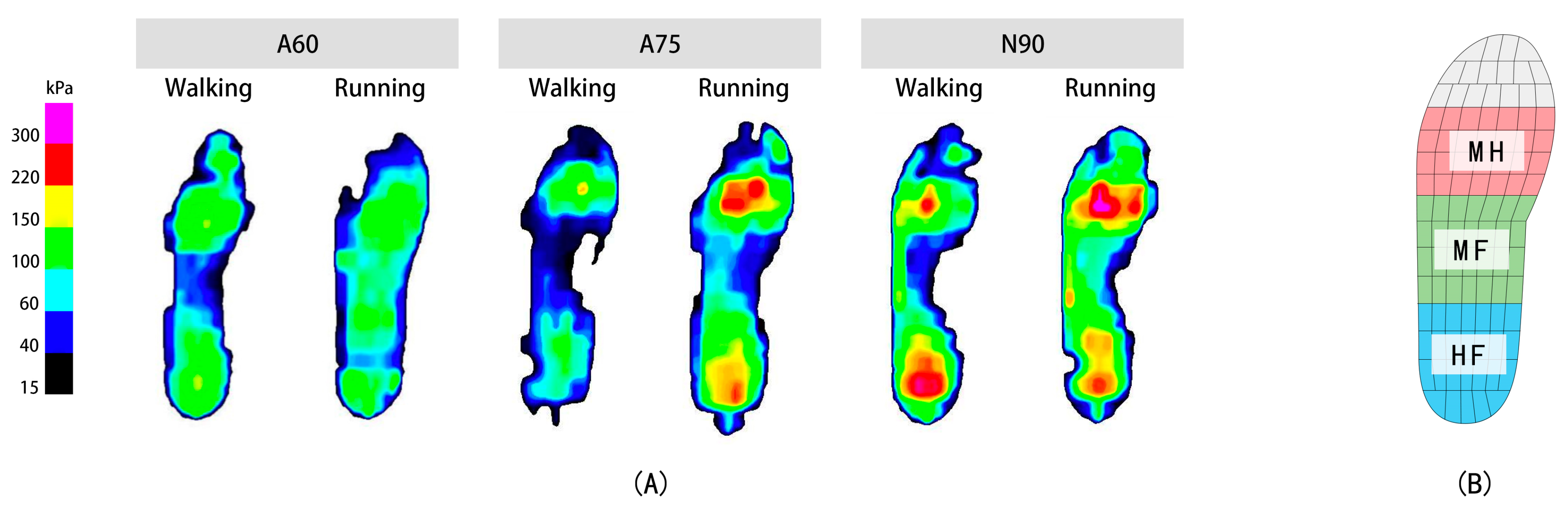 Applsci 14 05291 g005