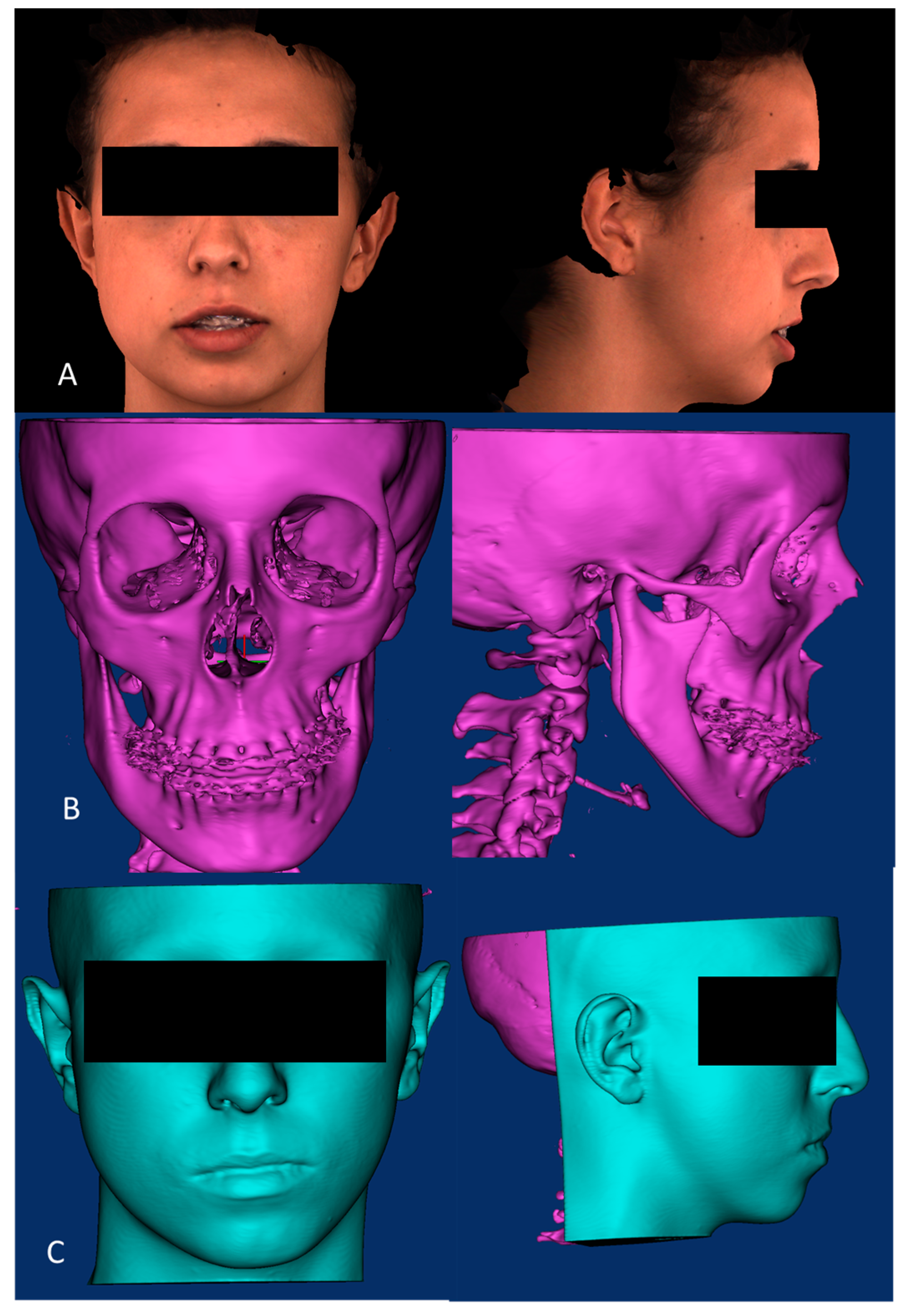 Applsci 14 05307 g002 Applsci 14 05307 g002