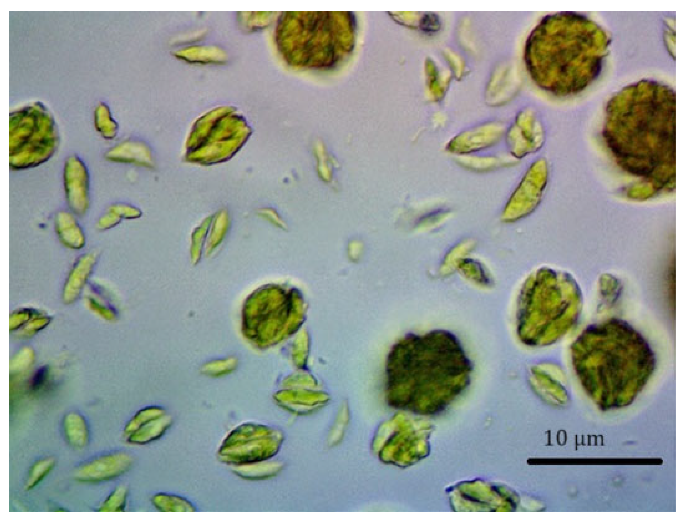 Applsci 14 05311 g001