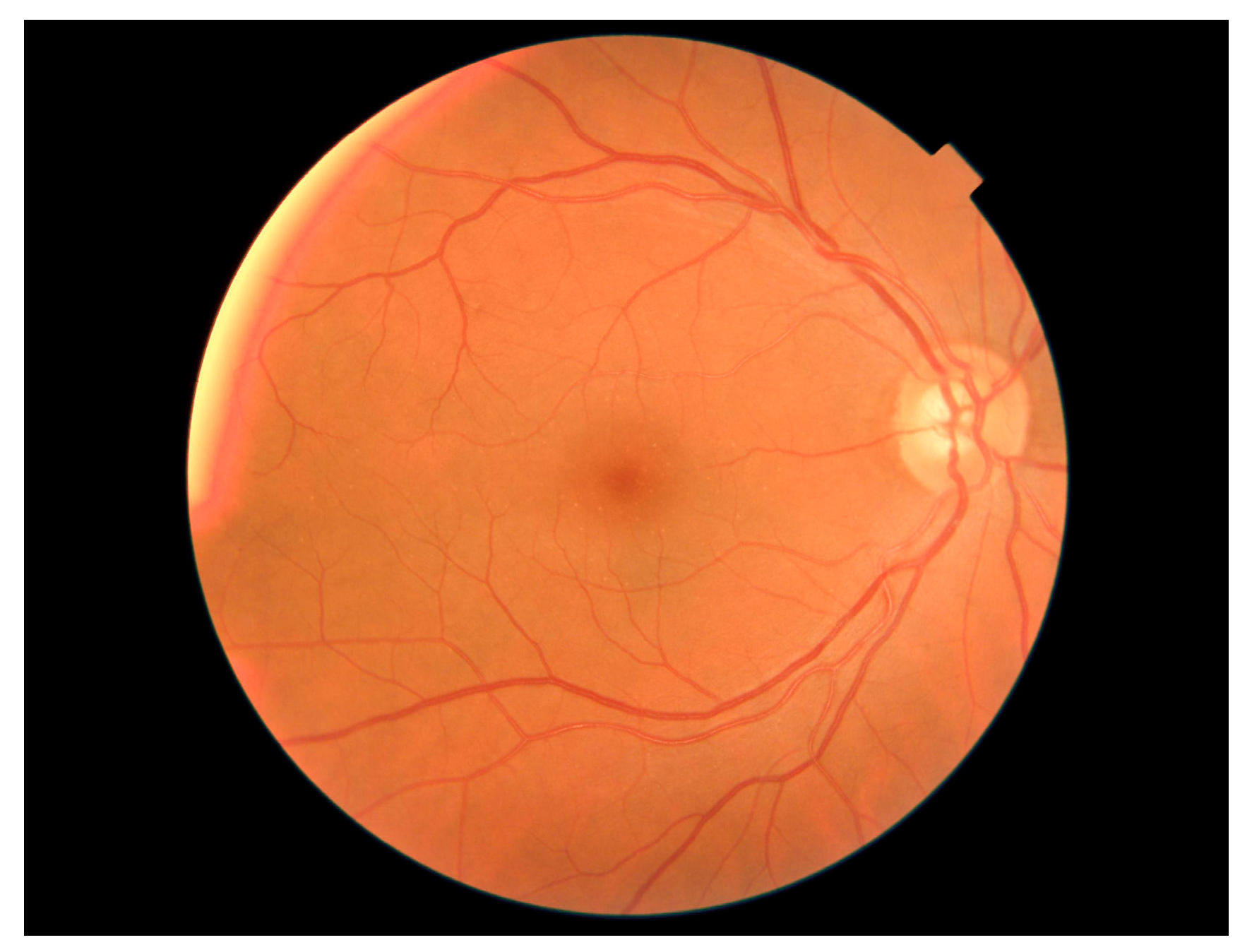 Applsci 14 05314 g002