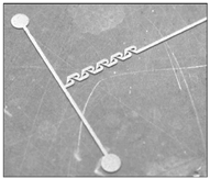 Applsci 14 05315 i013