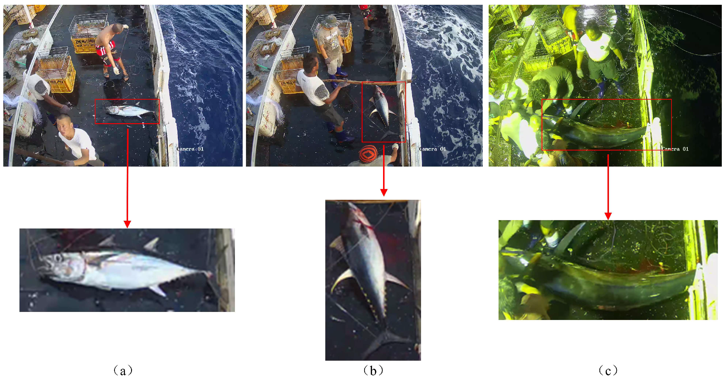 Applsci 14 05321 g010