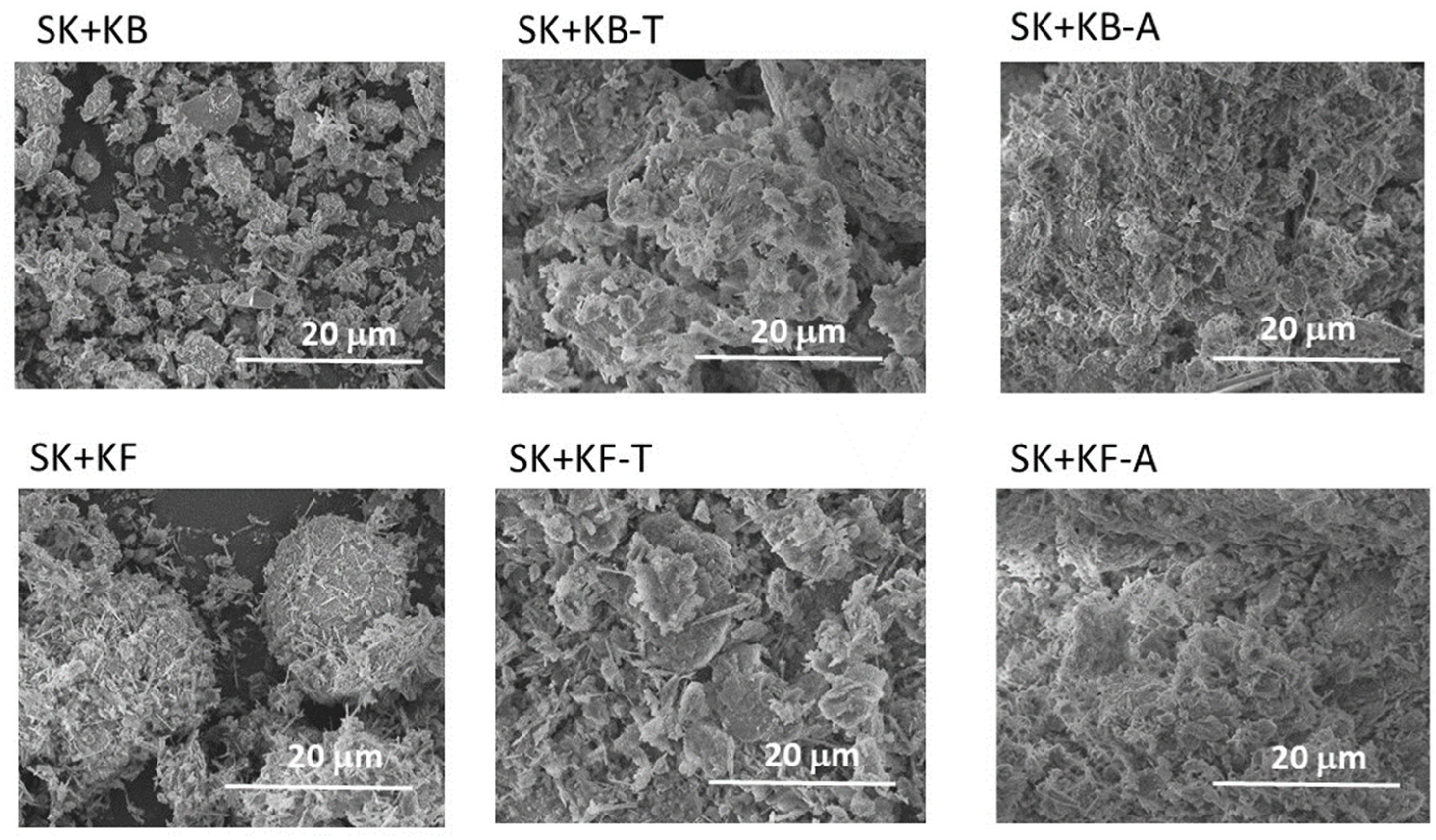 Applsci 14 05358 g004