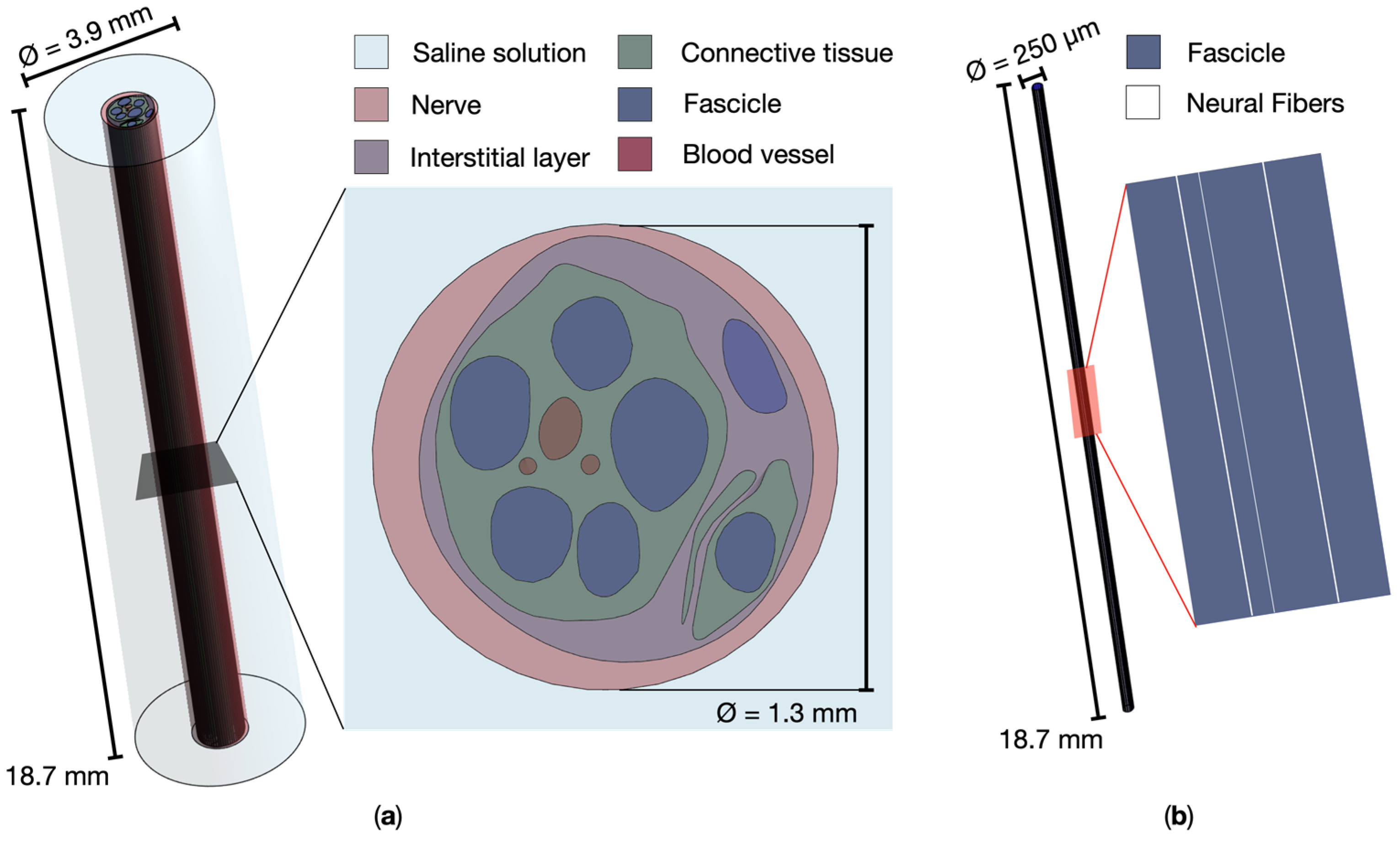 Magnetoelectric Nanoparticles for Wireless Peripheral Nerve Stimulation ...
