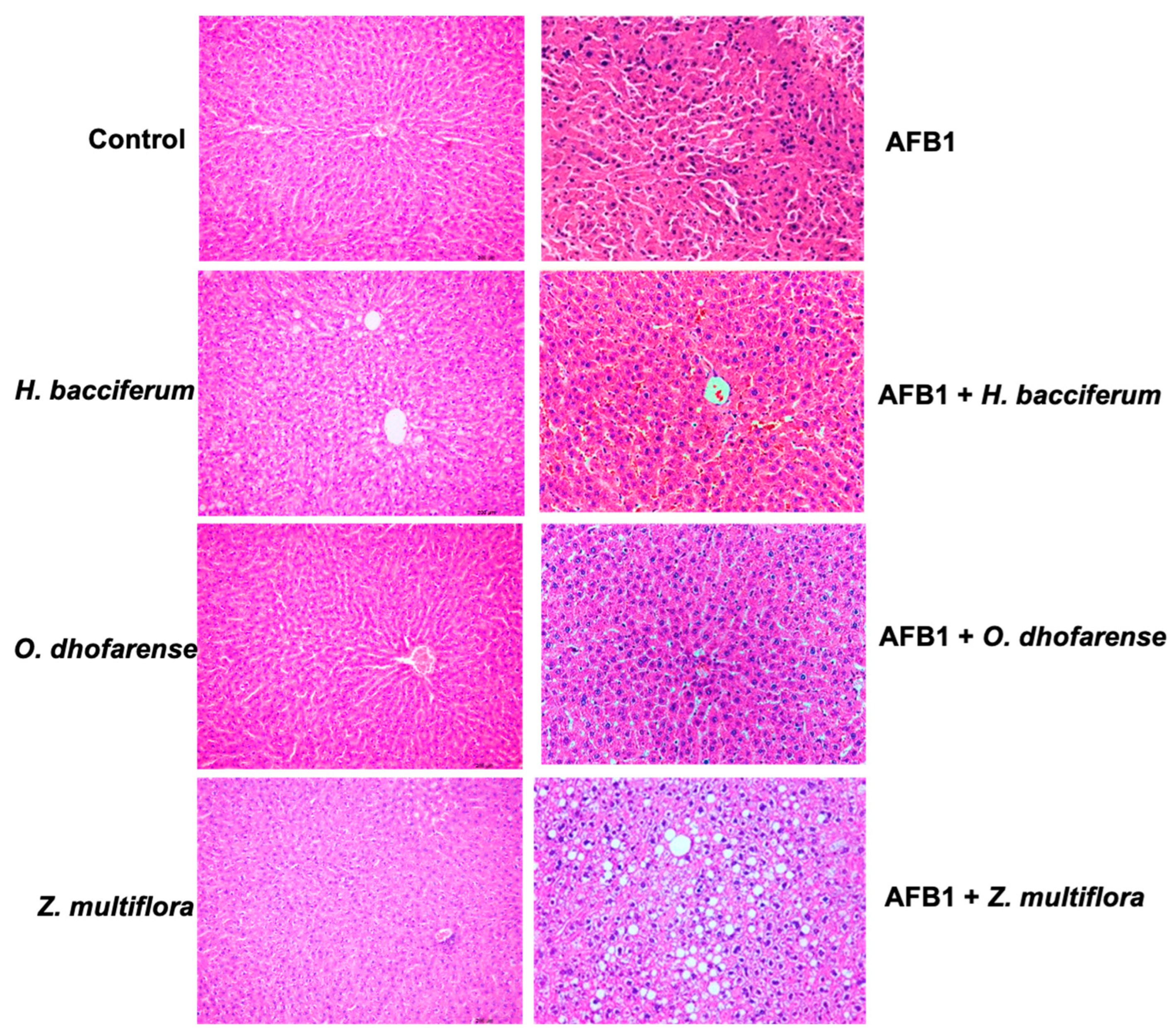 Applsci 14 05378 g015