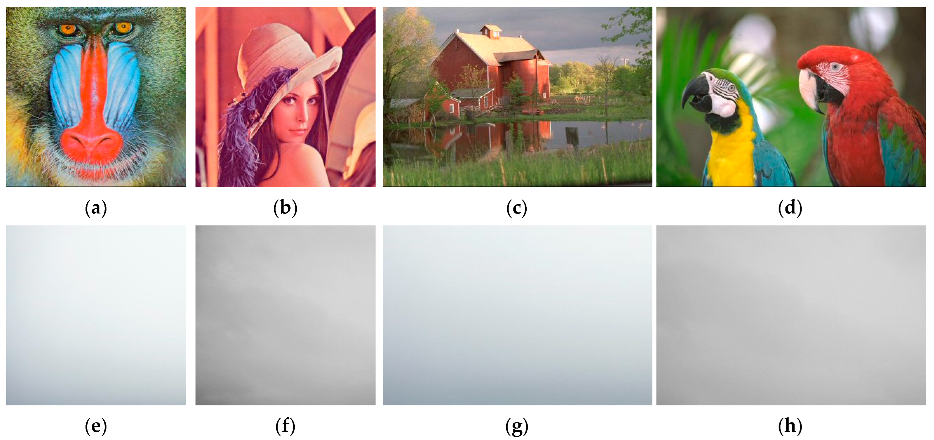 Applsci 14 05384 g008