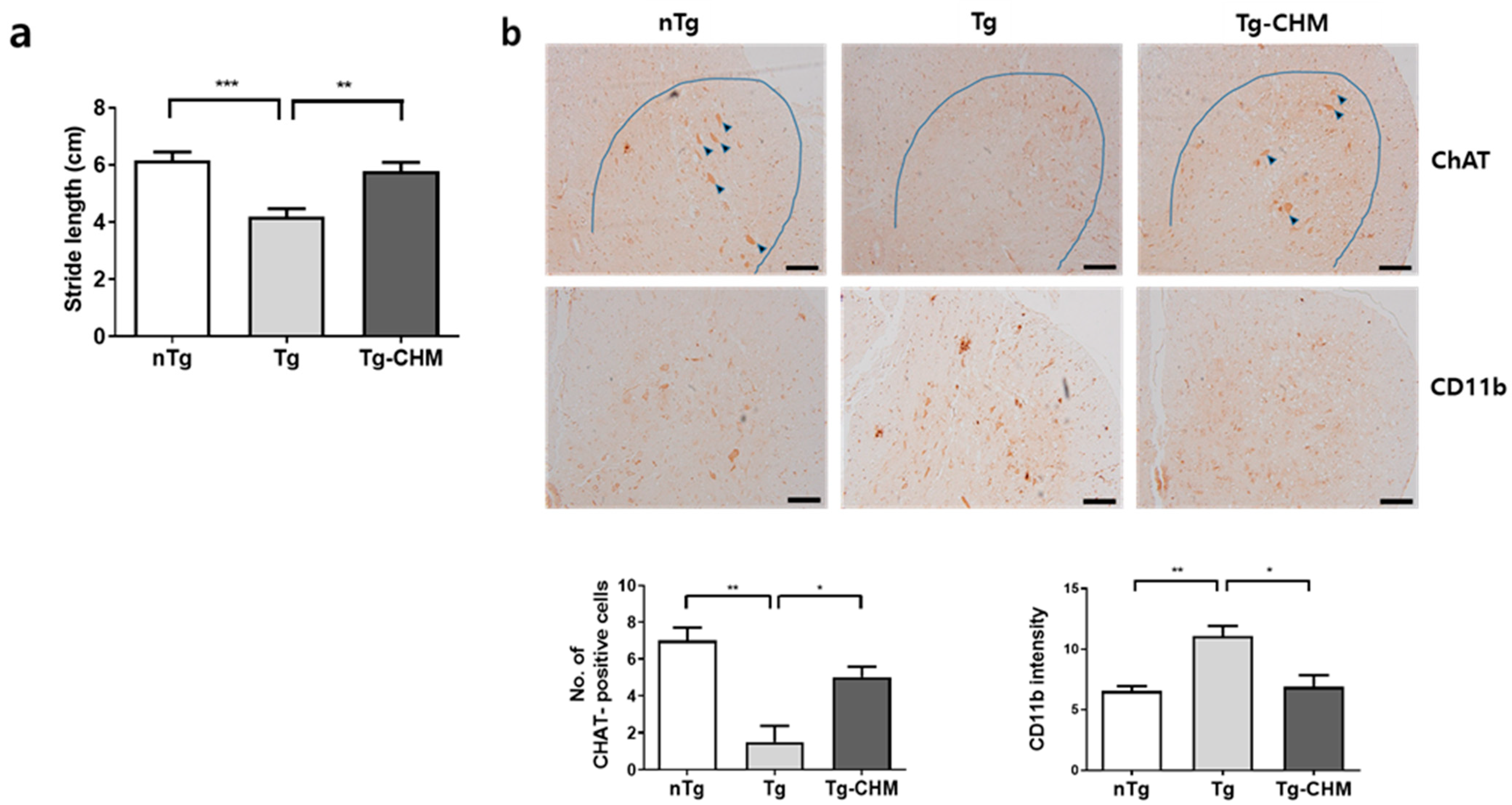 Applsci 14 05386 g001