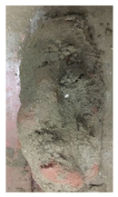 Applsci 14 05389 i011