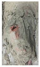 Applsci 14 05389 i013