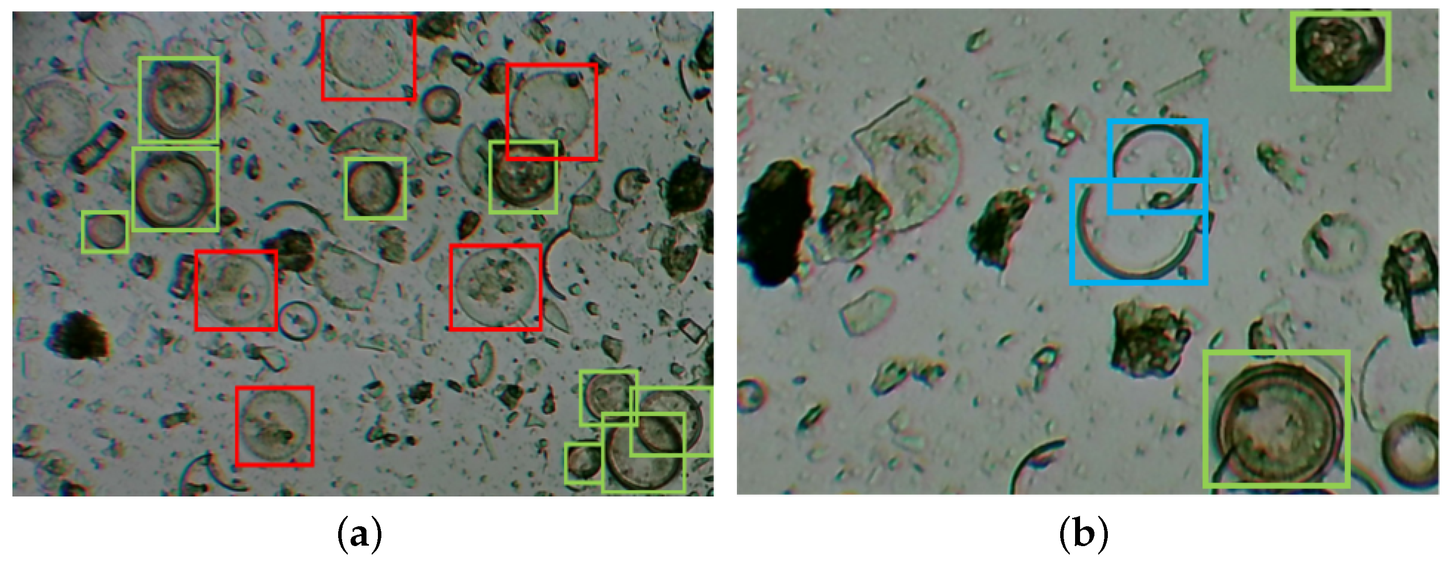 Applsci 14 05393 g001