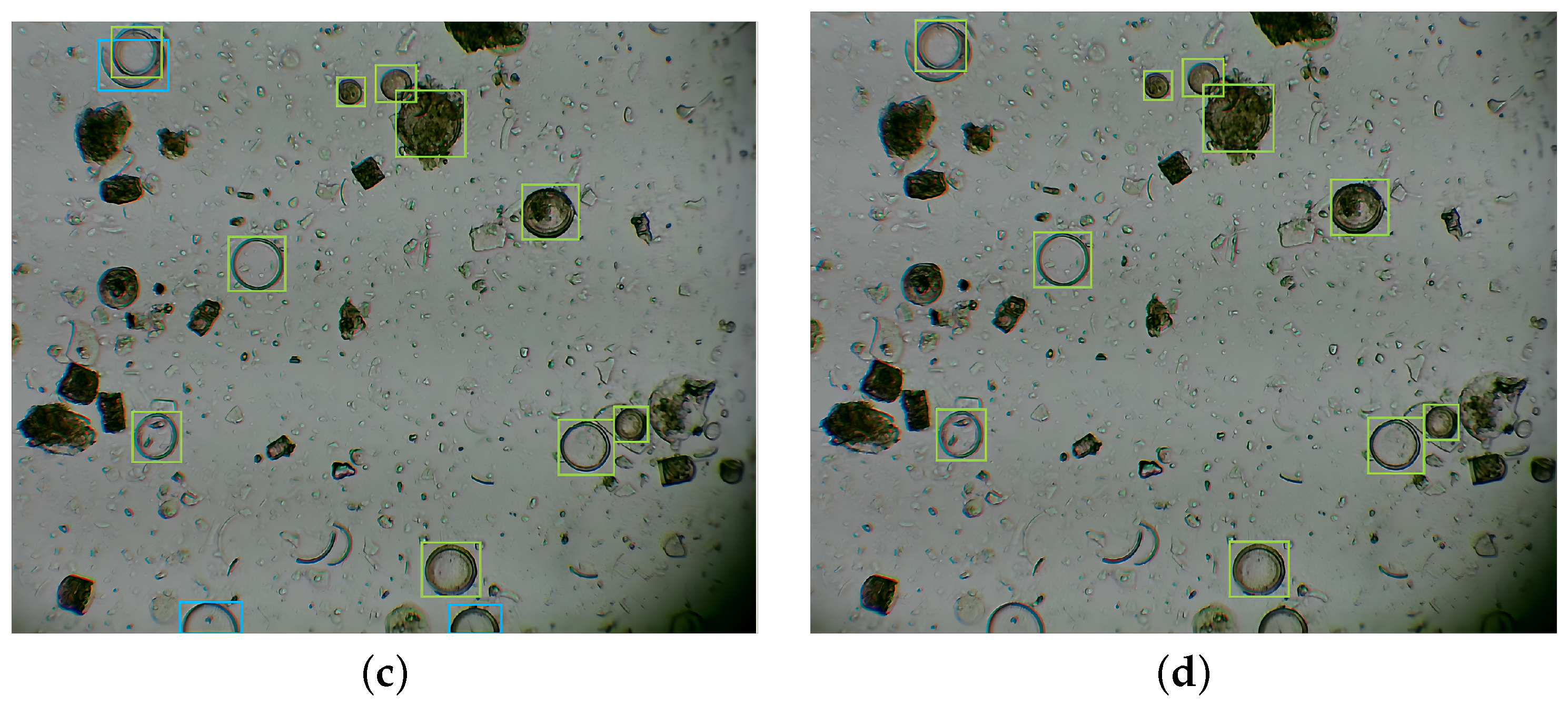 Applsci 14 05393 g004b