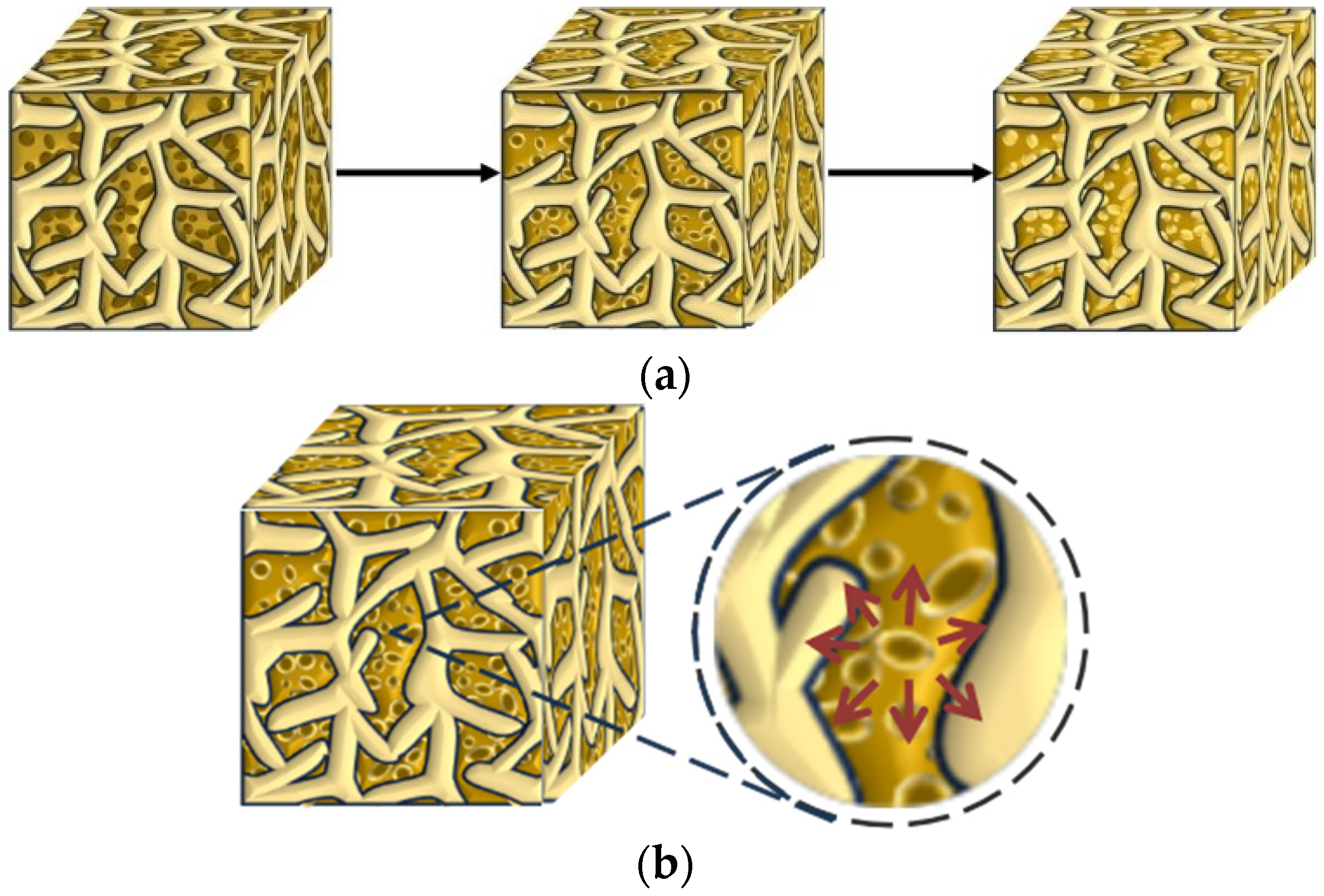 Applsci 14 05397 g005