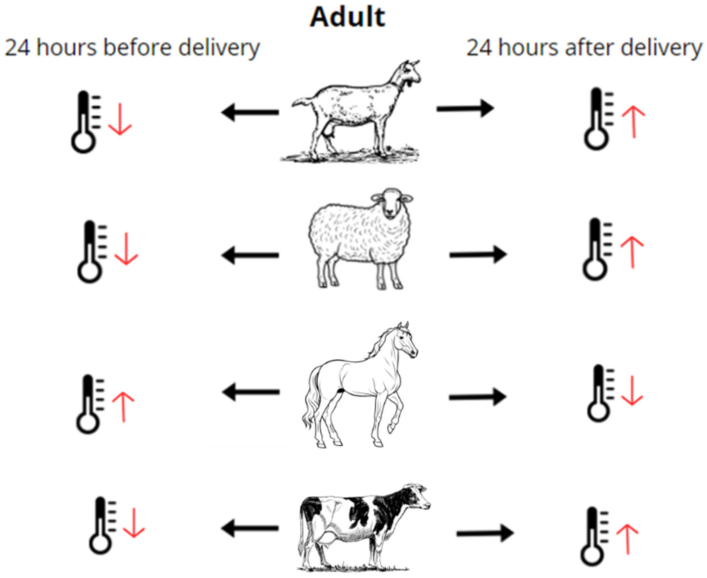 Applsci 14 05413 g003