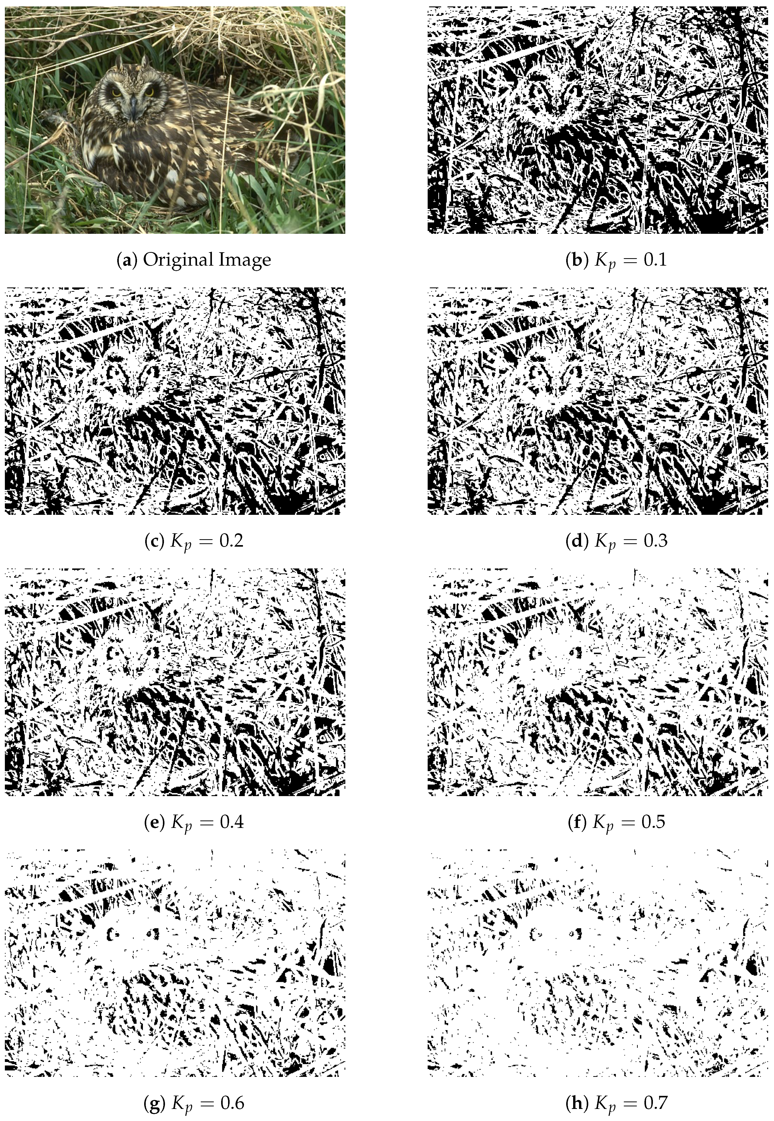 Applsci 14 05428 g0a3