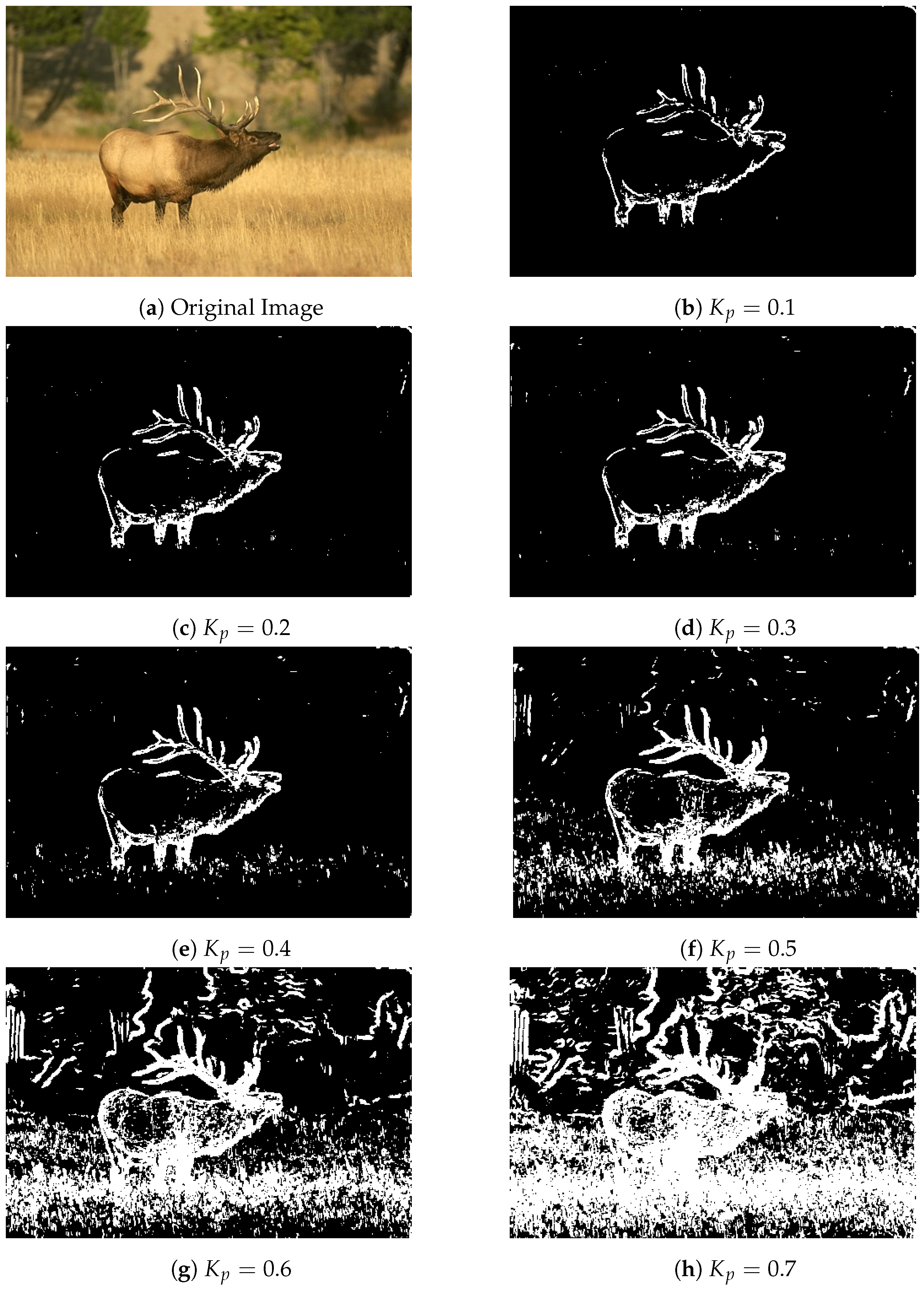 Applsci 14 05428 g0a4