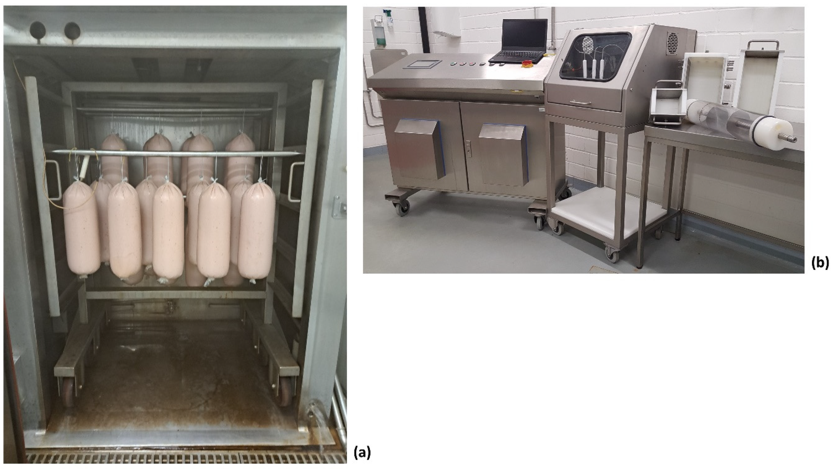 Applsci 14 05460 g001 Applsci 14 05460 g001